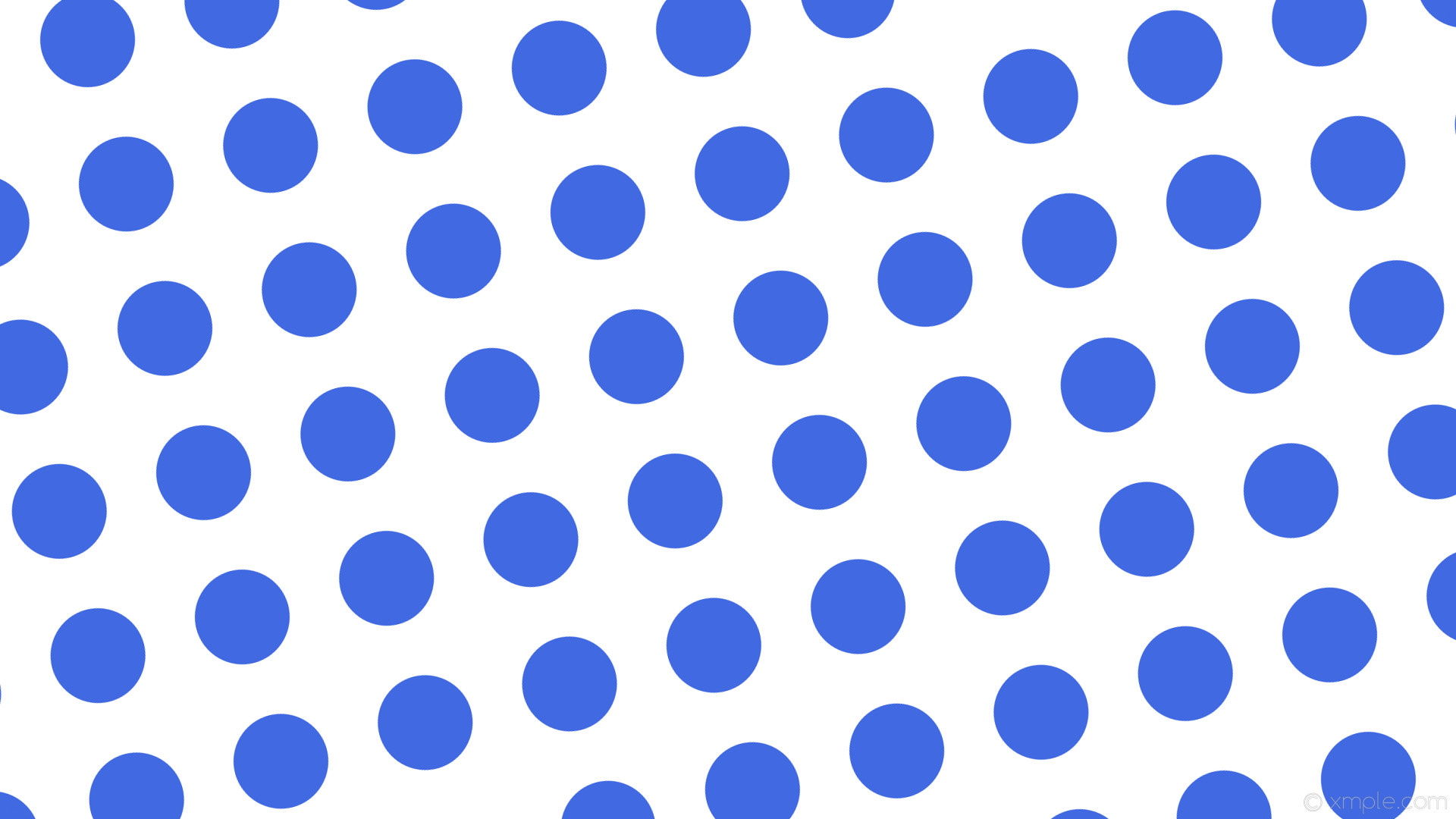 wallpaper white polka dots blue spots royal blue #ffffff #4169e1 105Â° 125px  197px