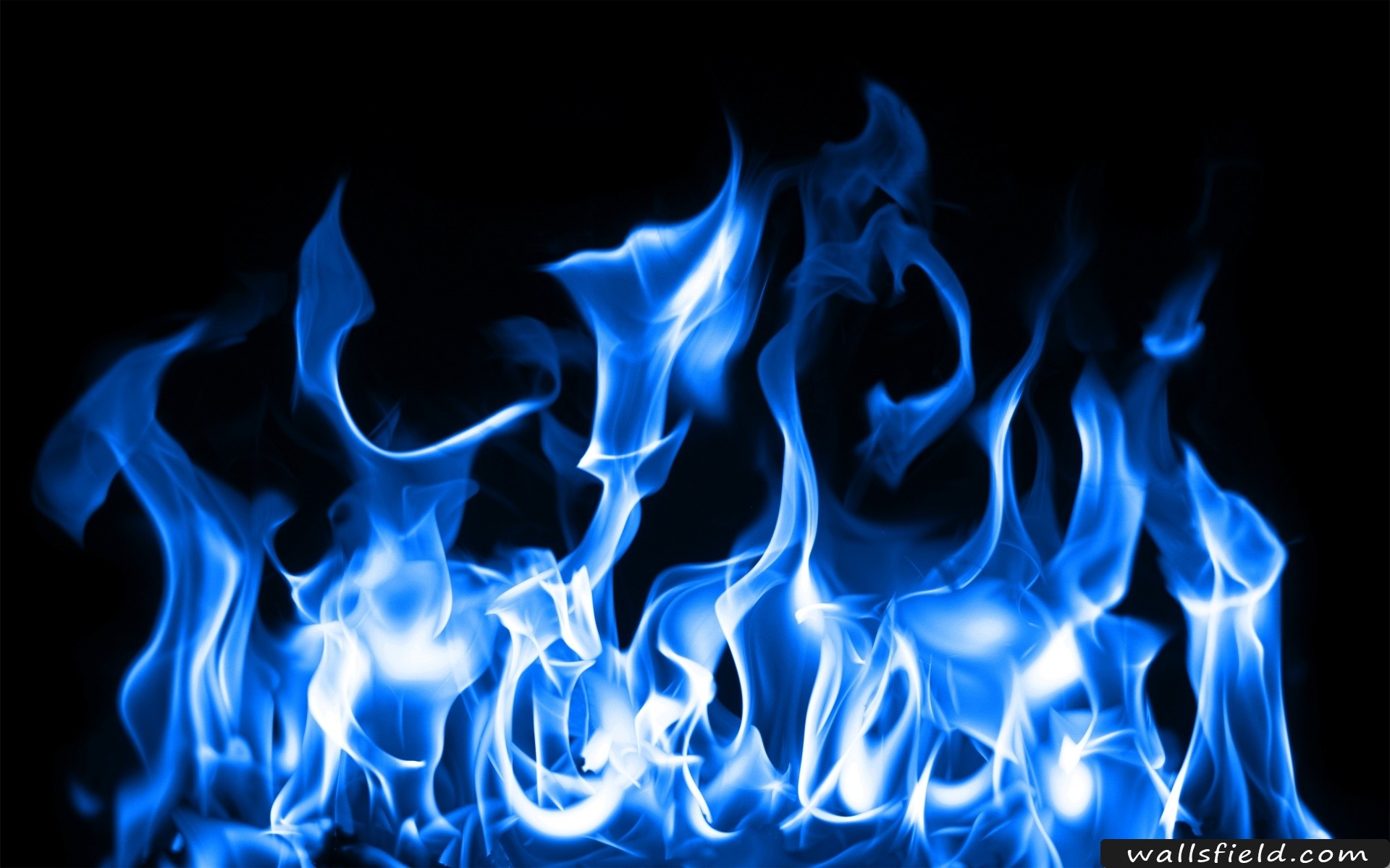 You can view, download and comment on Blue Fire free hd wallpapers for your desktop