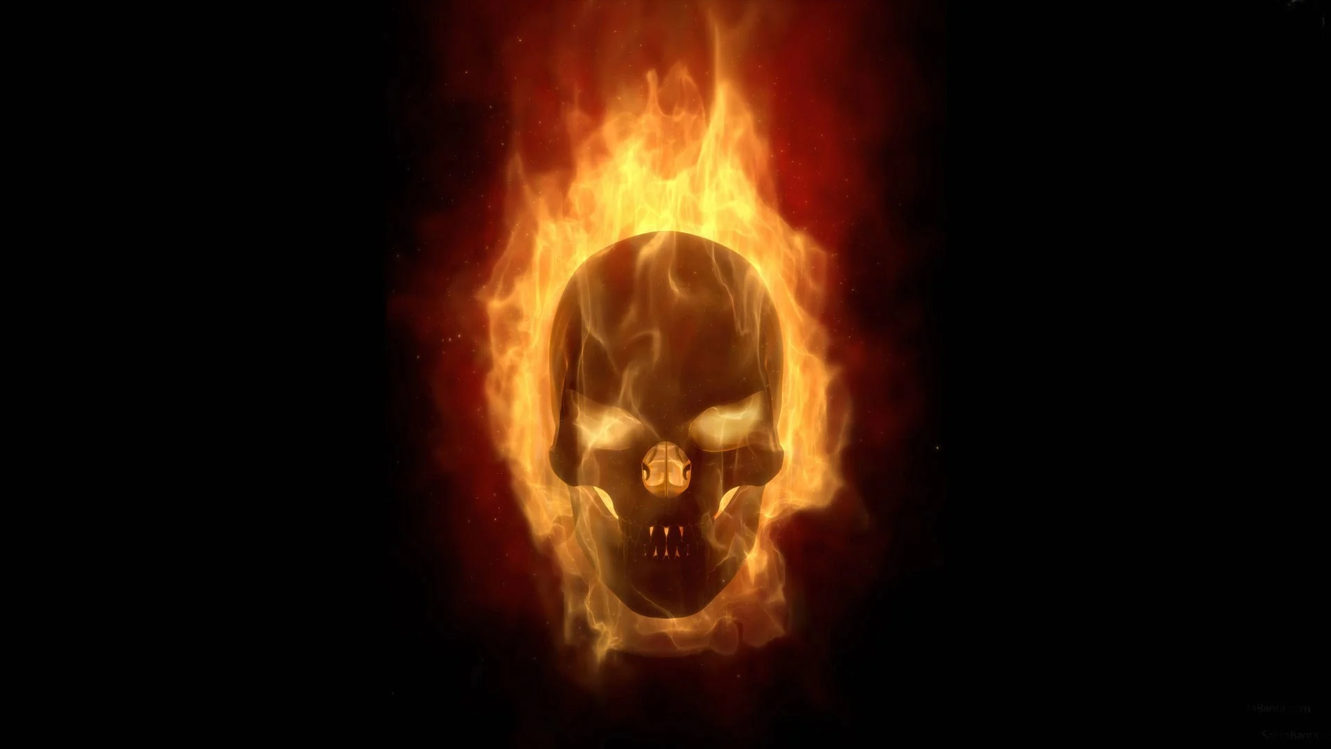 Hd wallpapers skull on fire
