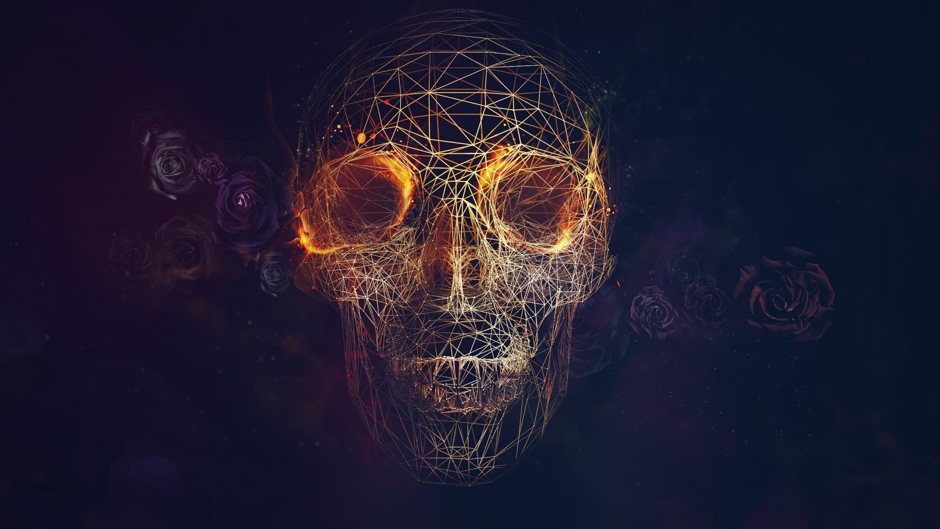 Wireframe, CGI, Skull, Fire, Rose, Vectors, Lines, Blue Background Wallpapers HD / Desktop and Mobile Backgrounds