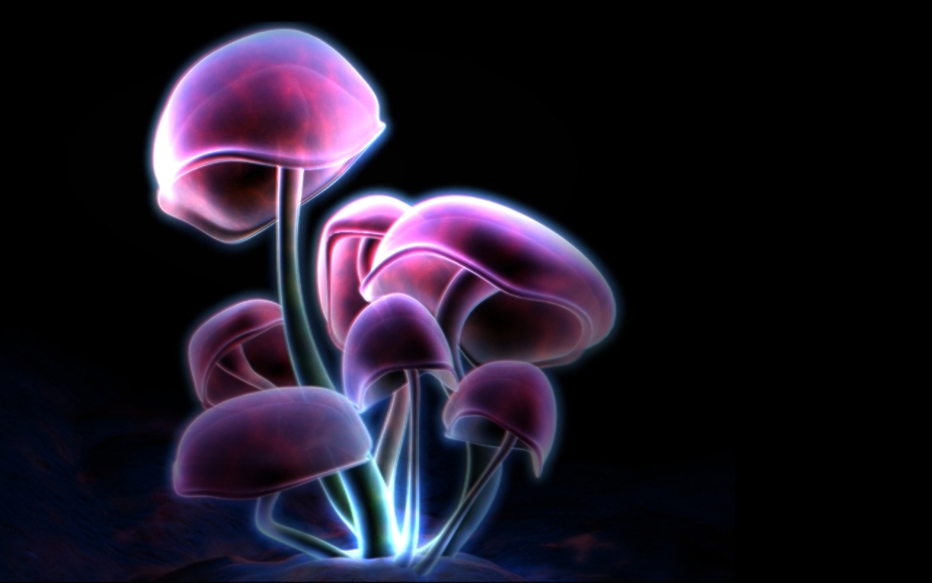 Neon Mushrooms Wide Desktop Background wallpaper free