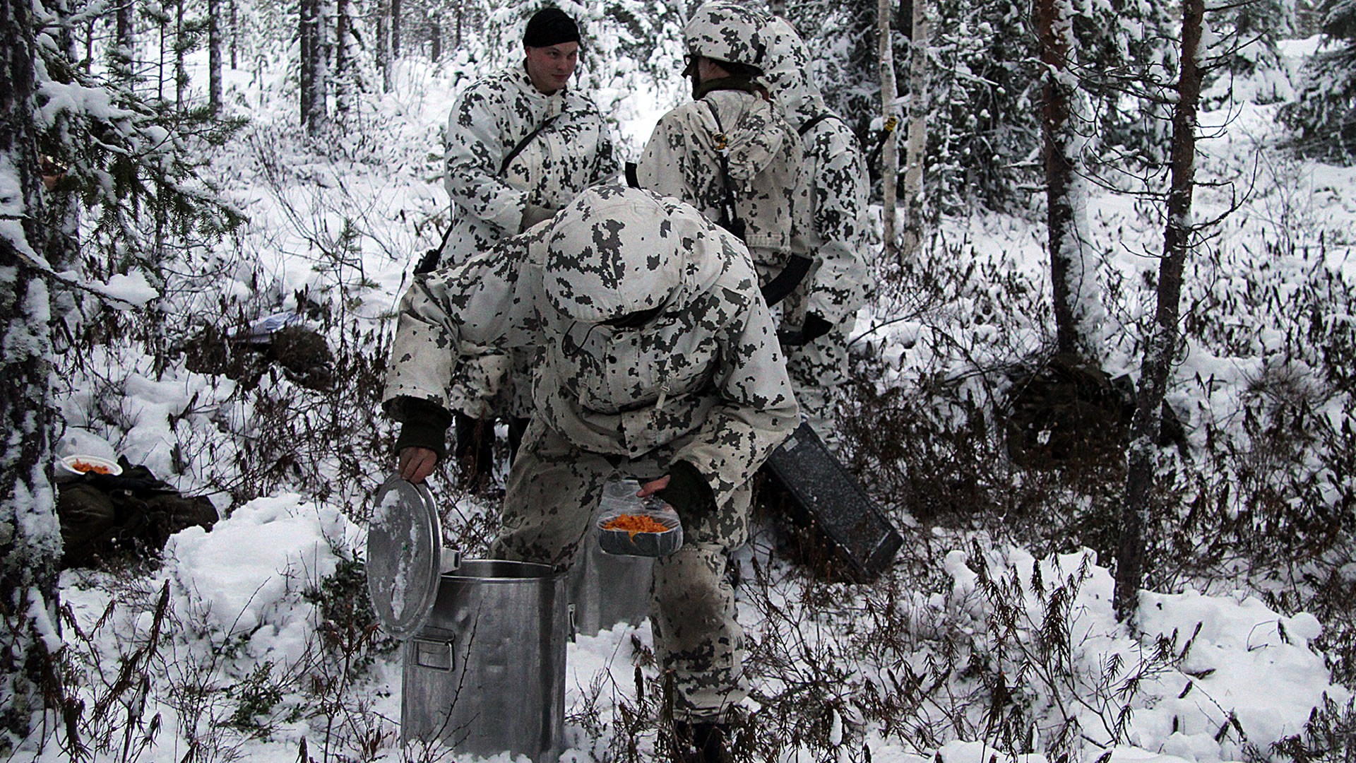 Finland Army Winter Camo