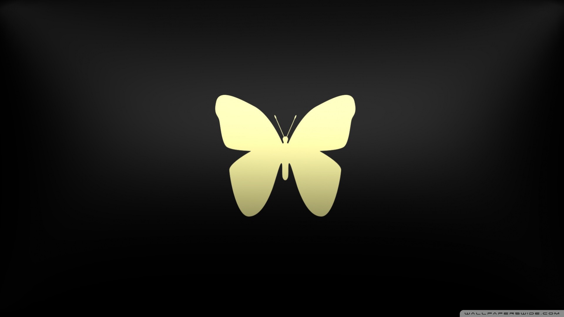 Vector Butterfly on shades HD Wide Wallpaper for Widescreen