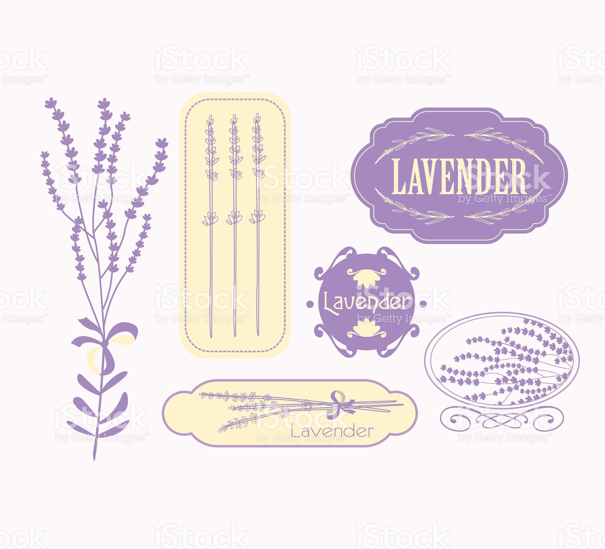 Vintage lavender background, aromatherapy and spa packaging design stock vector art 60307982 – iStock