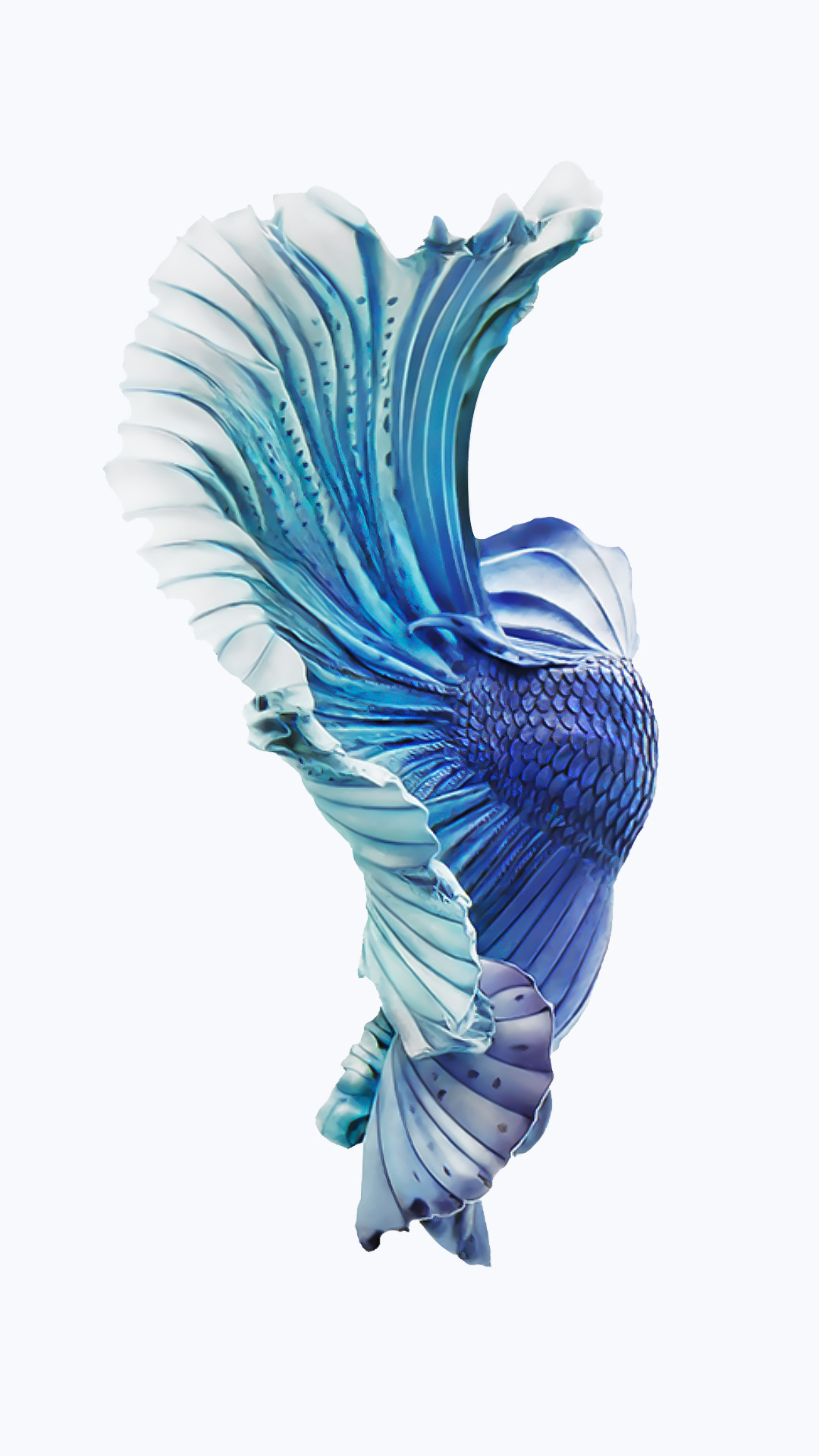 iPhone-6s-Silver-Blue-Fish-Wallpaper.png (1080Ã