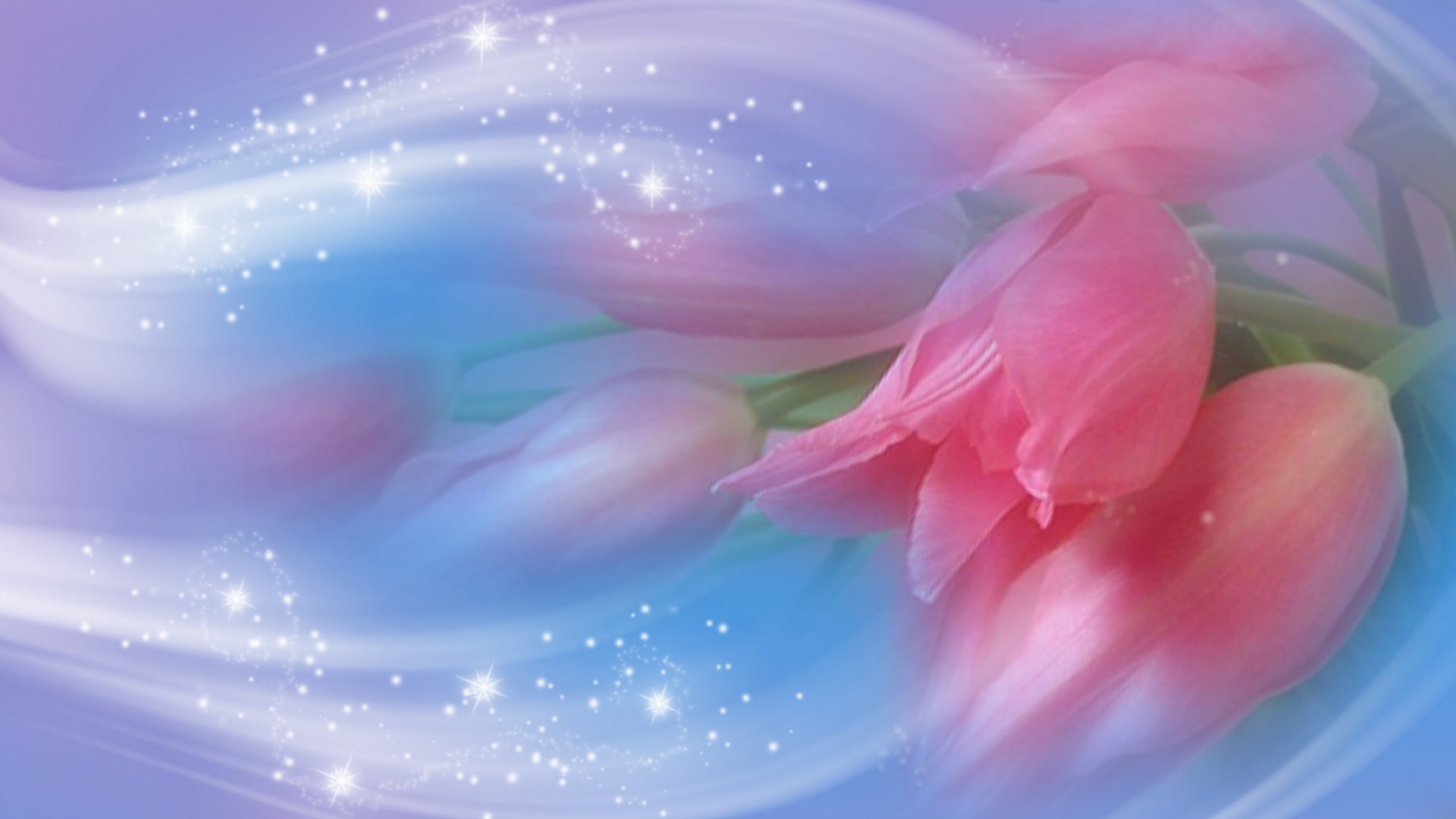 flowers: romantic pretty blue flower pink cute wallpaper ios 8 for