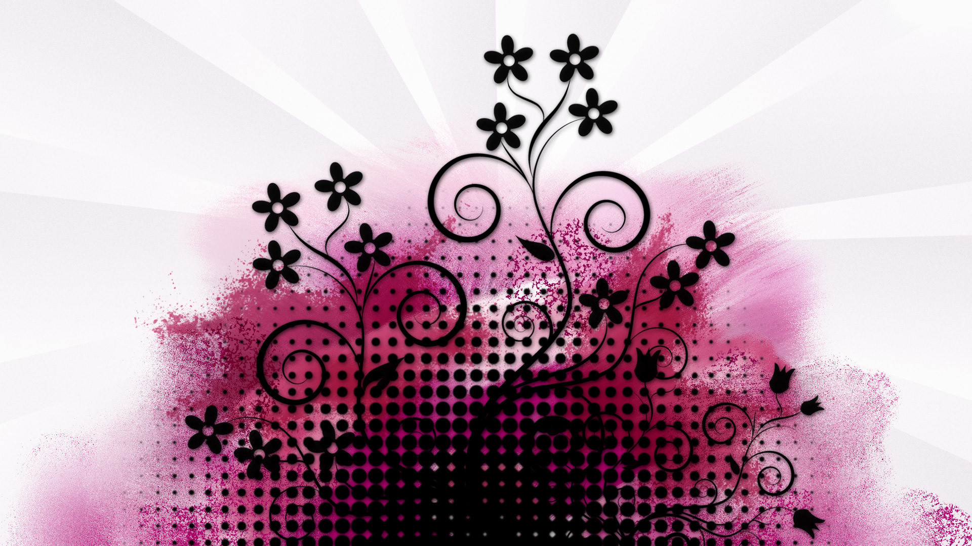 Pink And Black Wallpaper Designs 5 Cool Hd Wallpaper