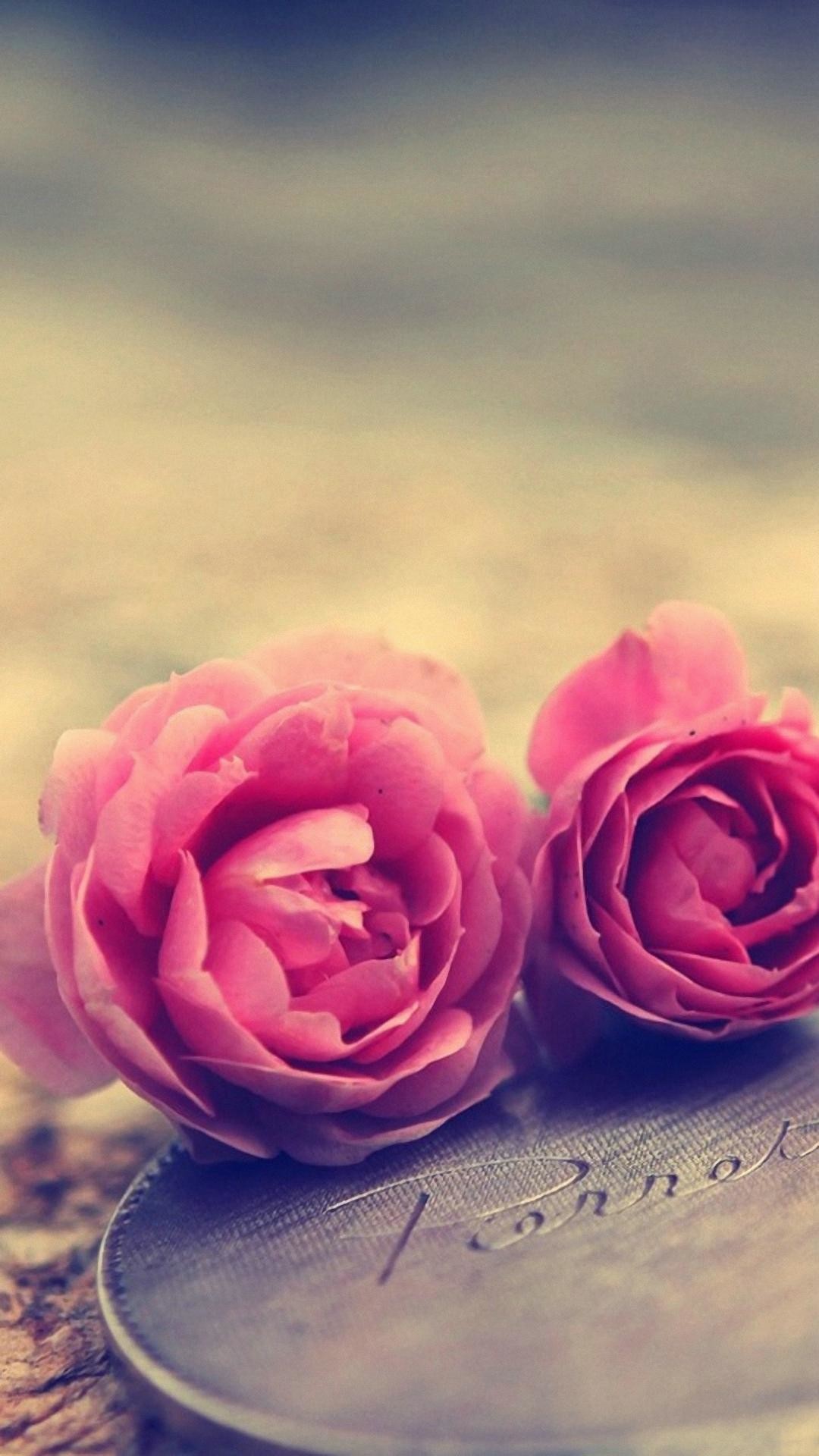 wallpaper.wiki-Cool-Pink-Rose-Iphone-Background-PIC-
