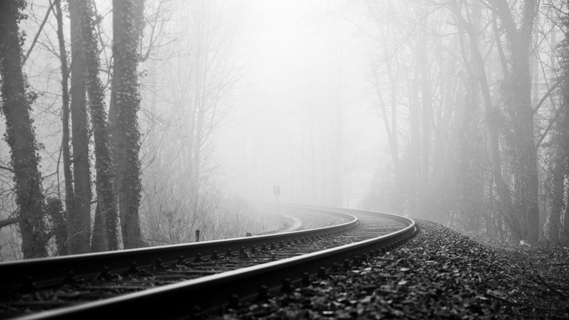 Vehicles train tracks railroad black white trees forest fog haze .