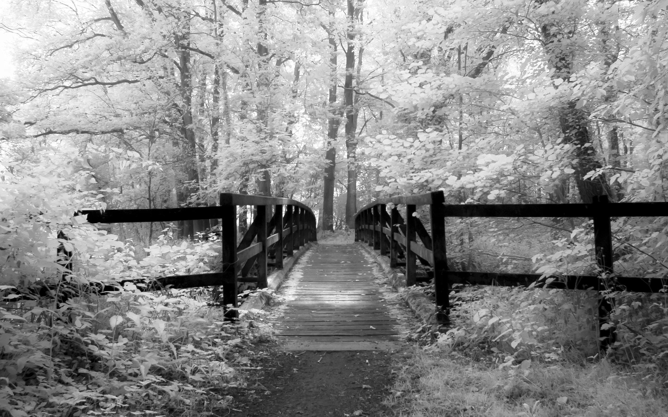 Old Bridge – Infrared Photography