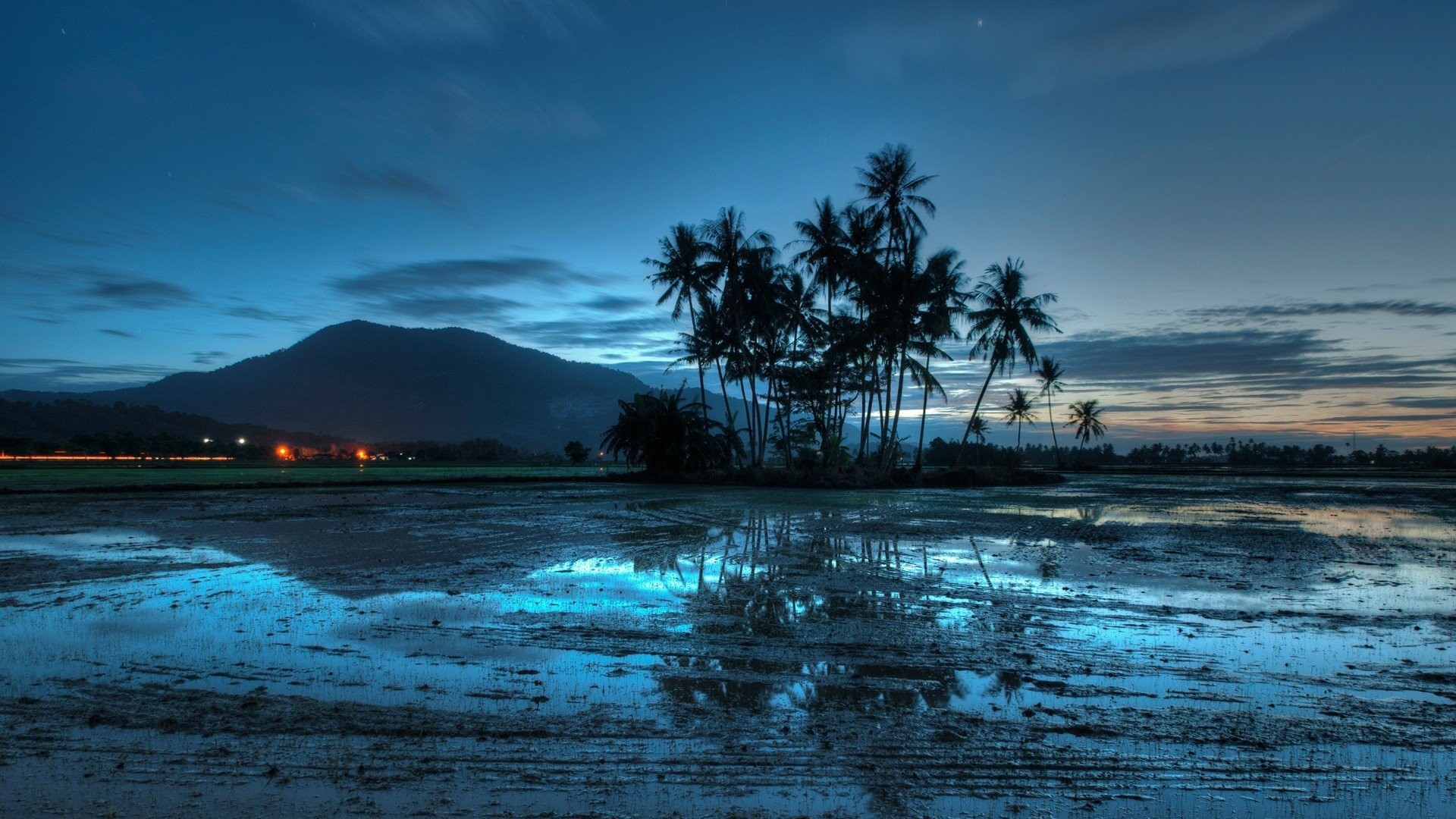 Blue Clouds Evening Landscapes Lights Malaysia Nature Palm Trees Sky Sunset Water