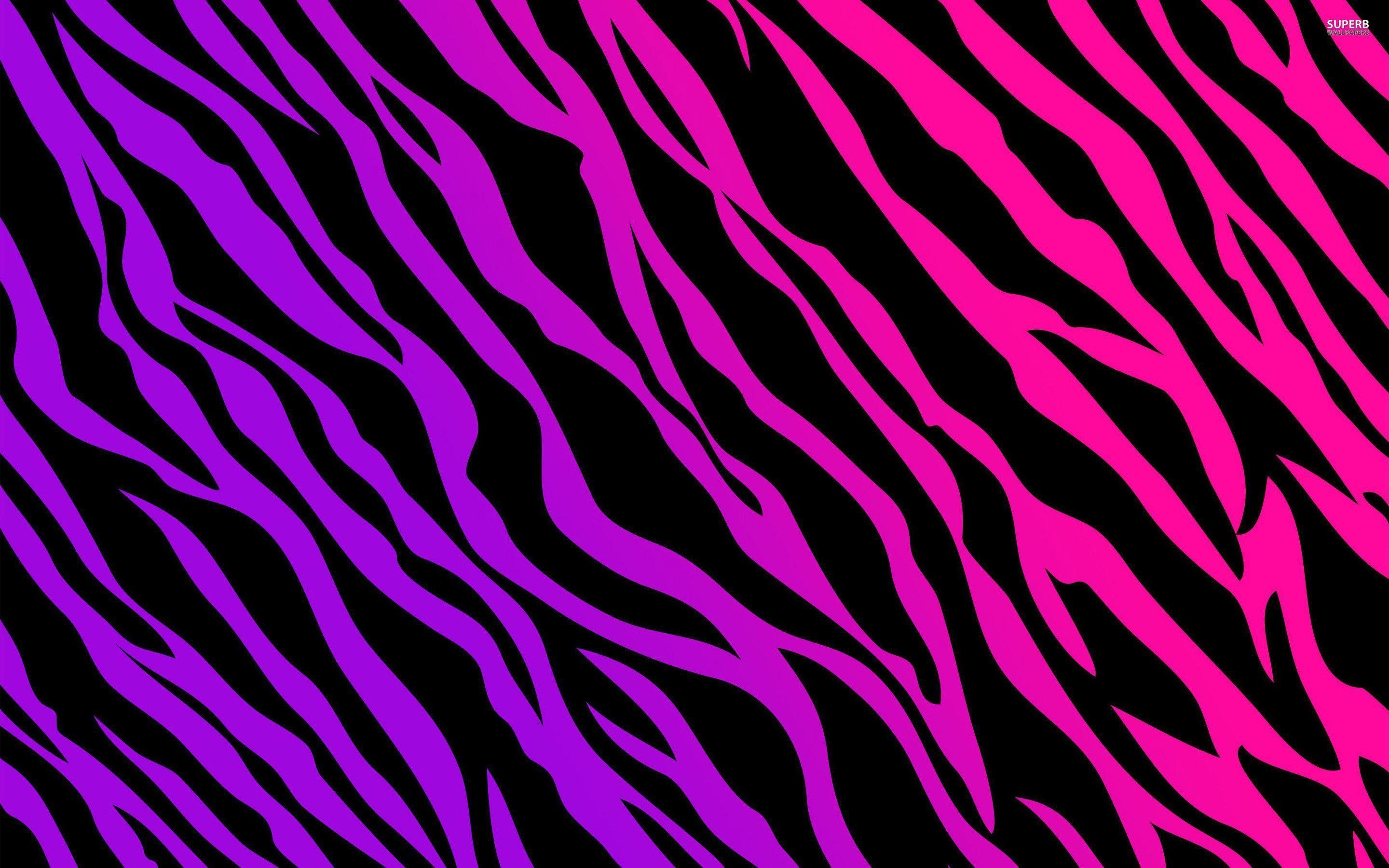 Wallpapers For > Neon Zebra Print Desktop Backgrounds