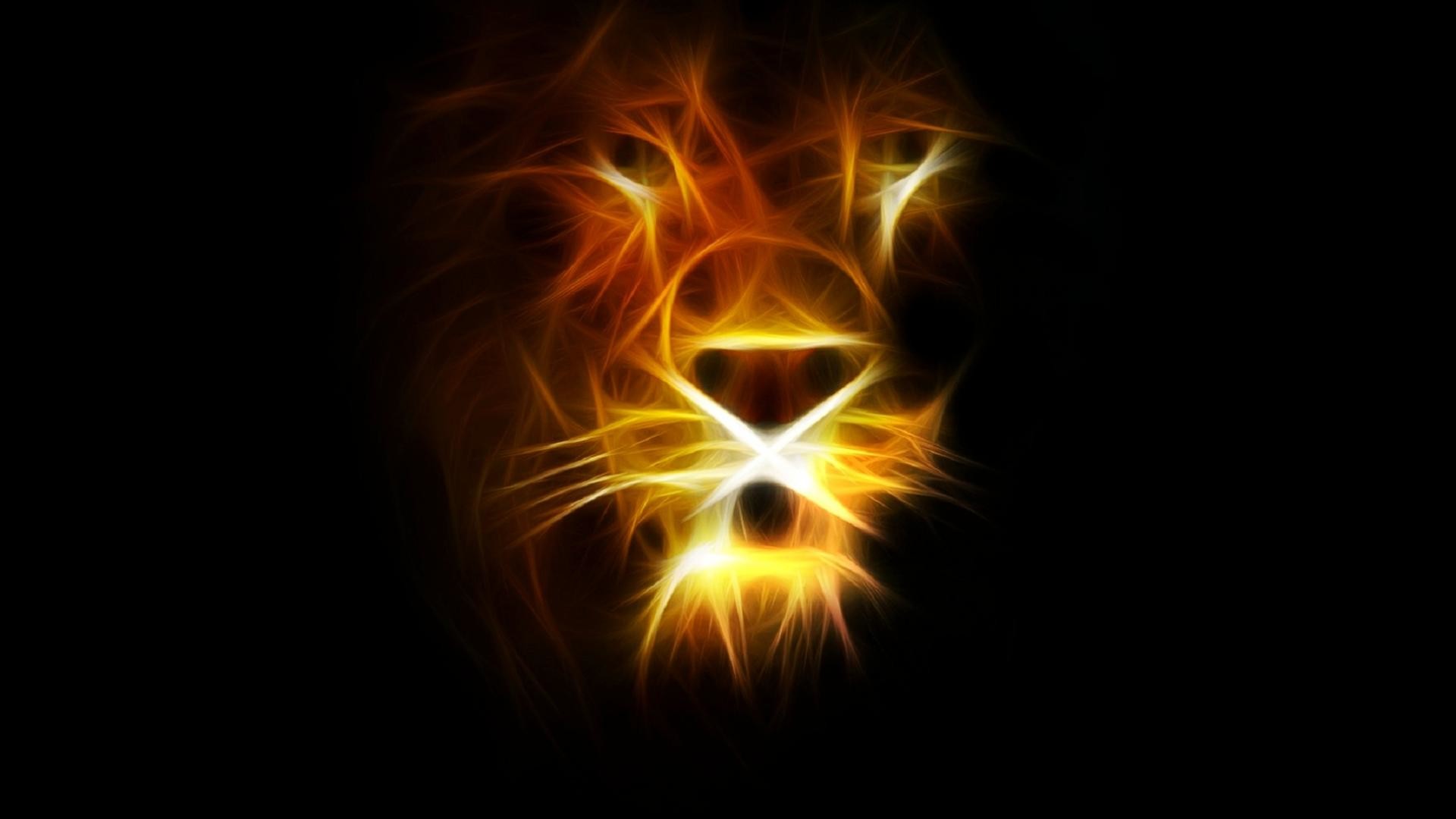 Animal – Lion Wallpaper