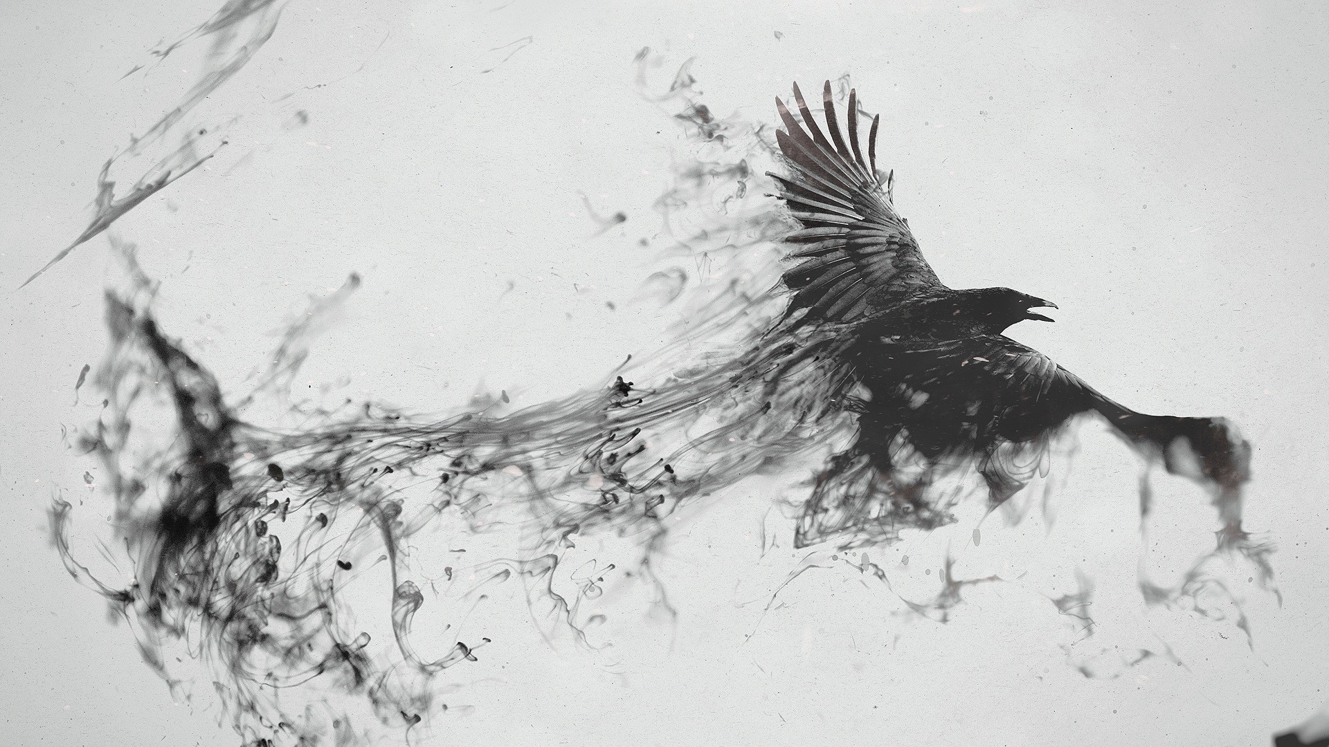 Preview wallpaper raven, bird, flying, smoke, black white 1920×1080