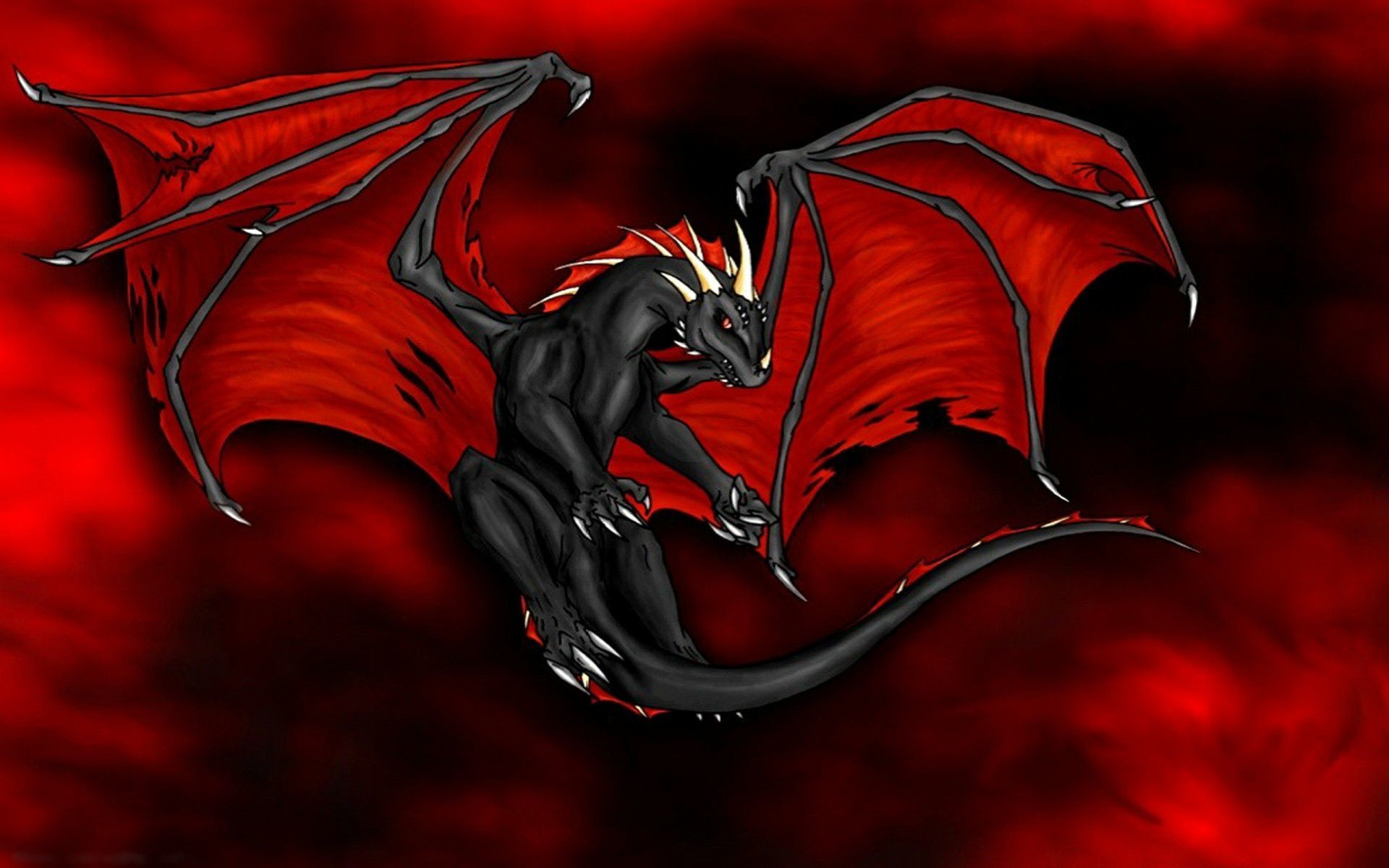 Black red dragon hd photo