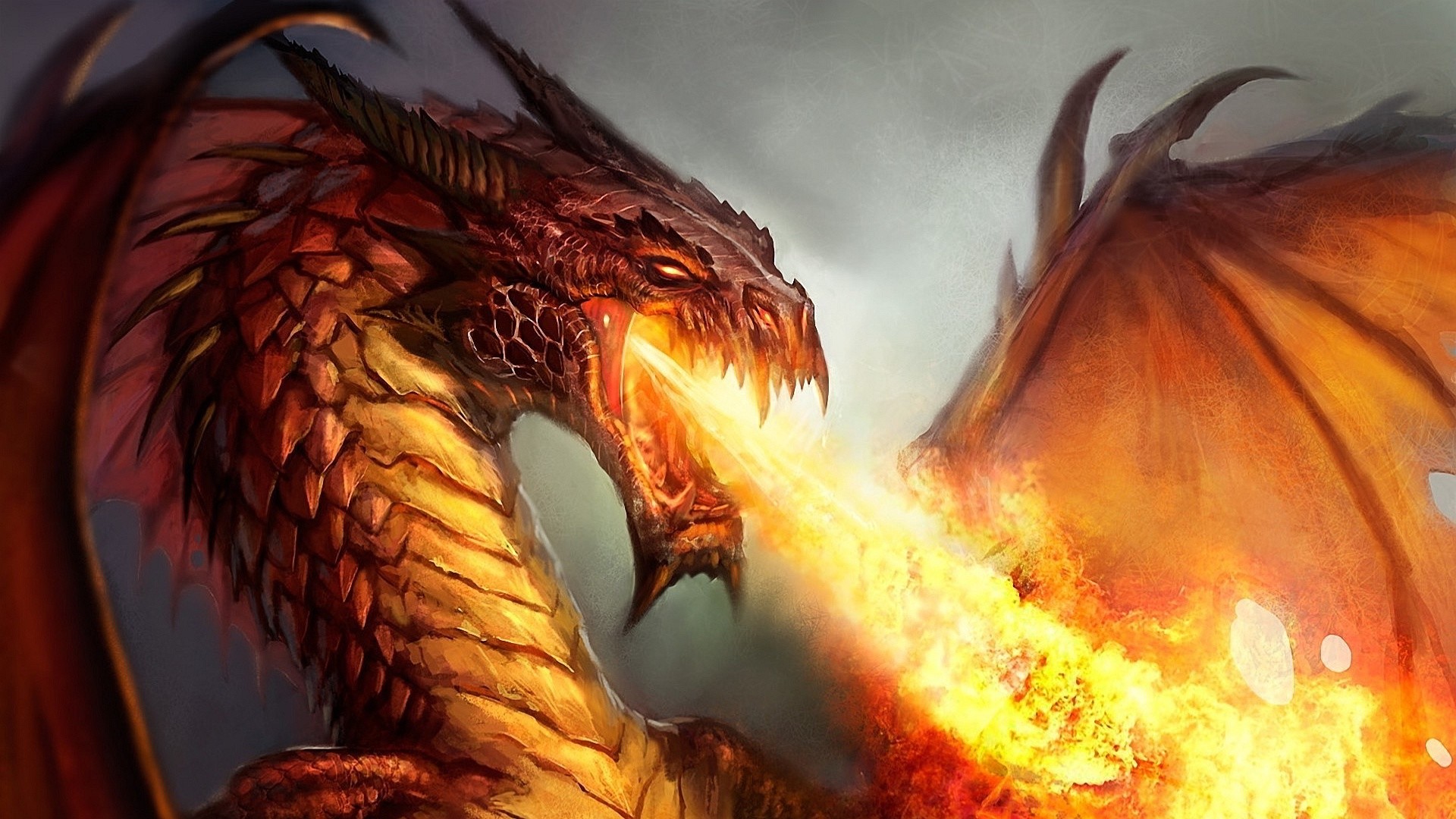 Backgrounds In High Quality: Dragon by Angle Sprowl, 05/03/2015