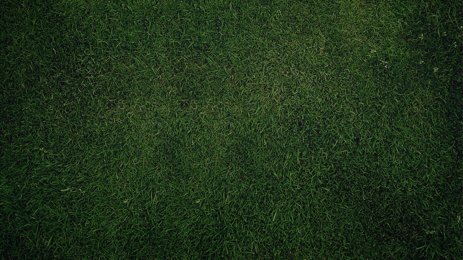 Green Grass Background. How to set wallpaper on your desktop Click the download link from above and set the wallpaper on the desktop from your