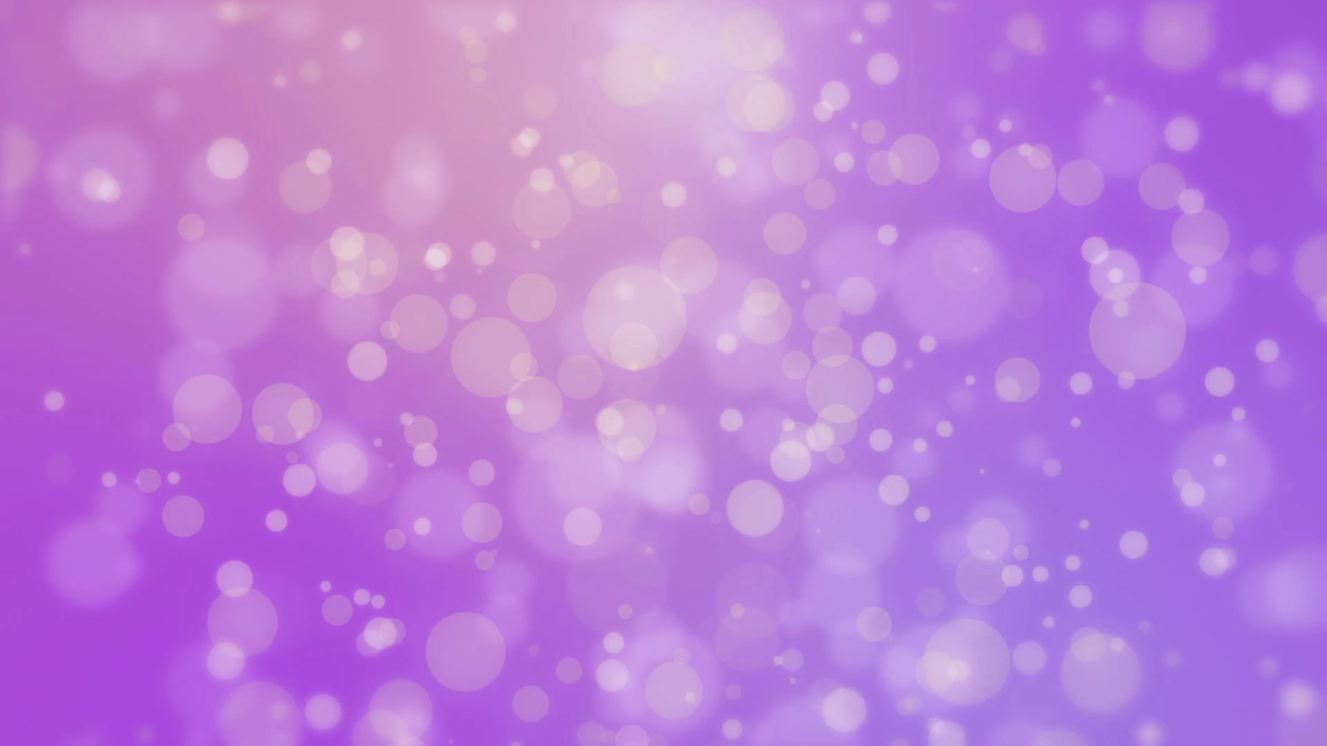 Beautiful purple background with glowing light particles creating a bokeh  effect Motion Background – VideoBlocks