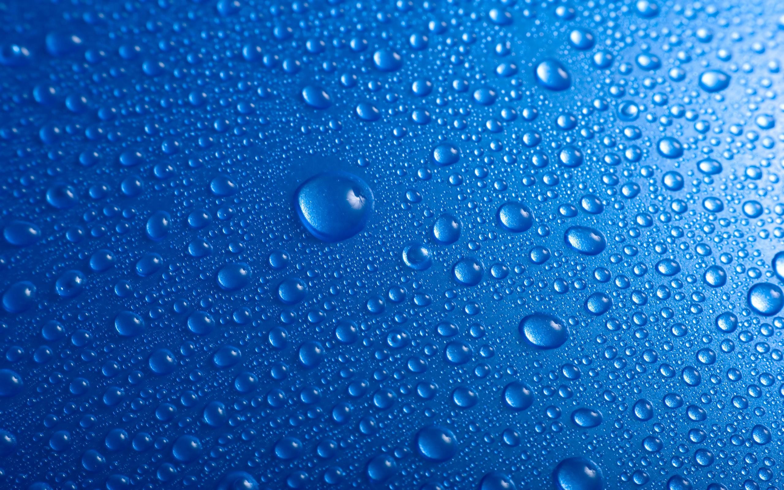 Water Blue Wet Drops Macro Condensation 1080p