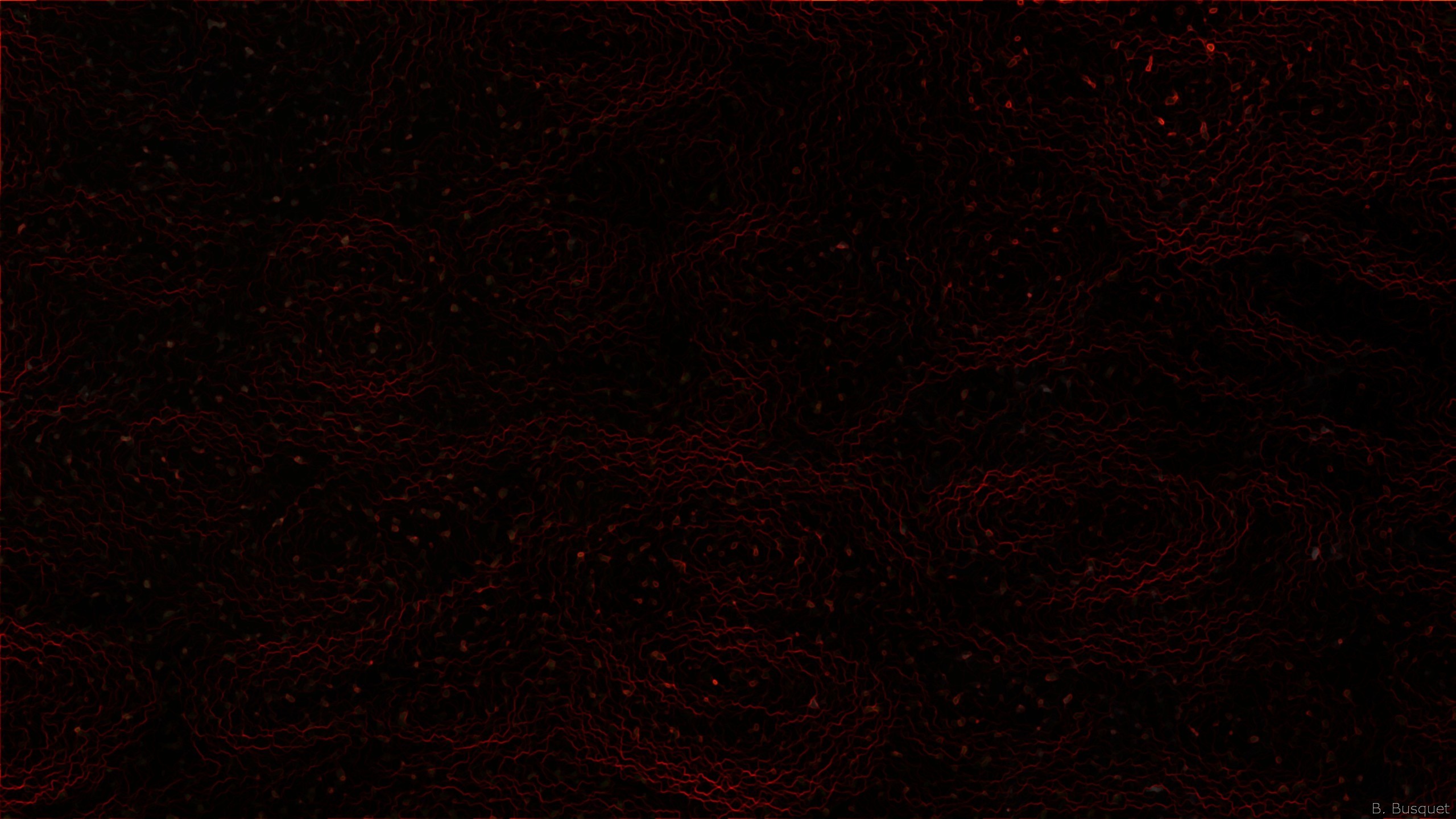 Abstract wallpaper with a dark pattern in black and red colors.