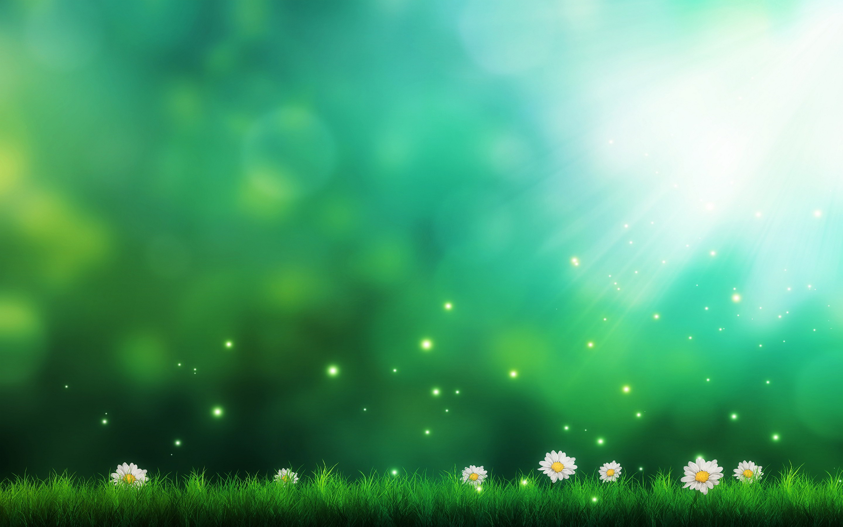 Daisies Green Background Wallpapers Pictures 2880x1800px