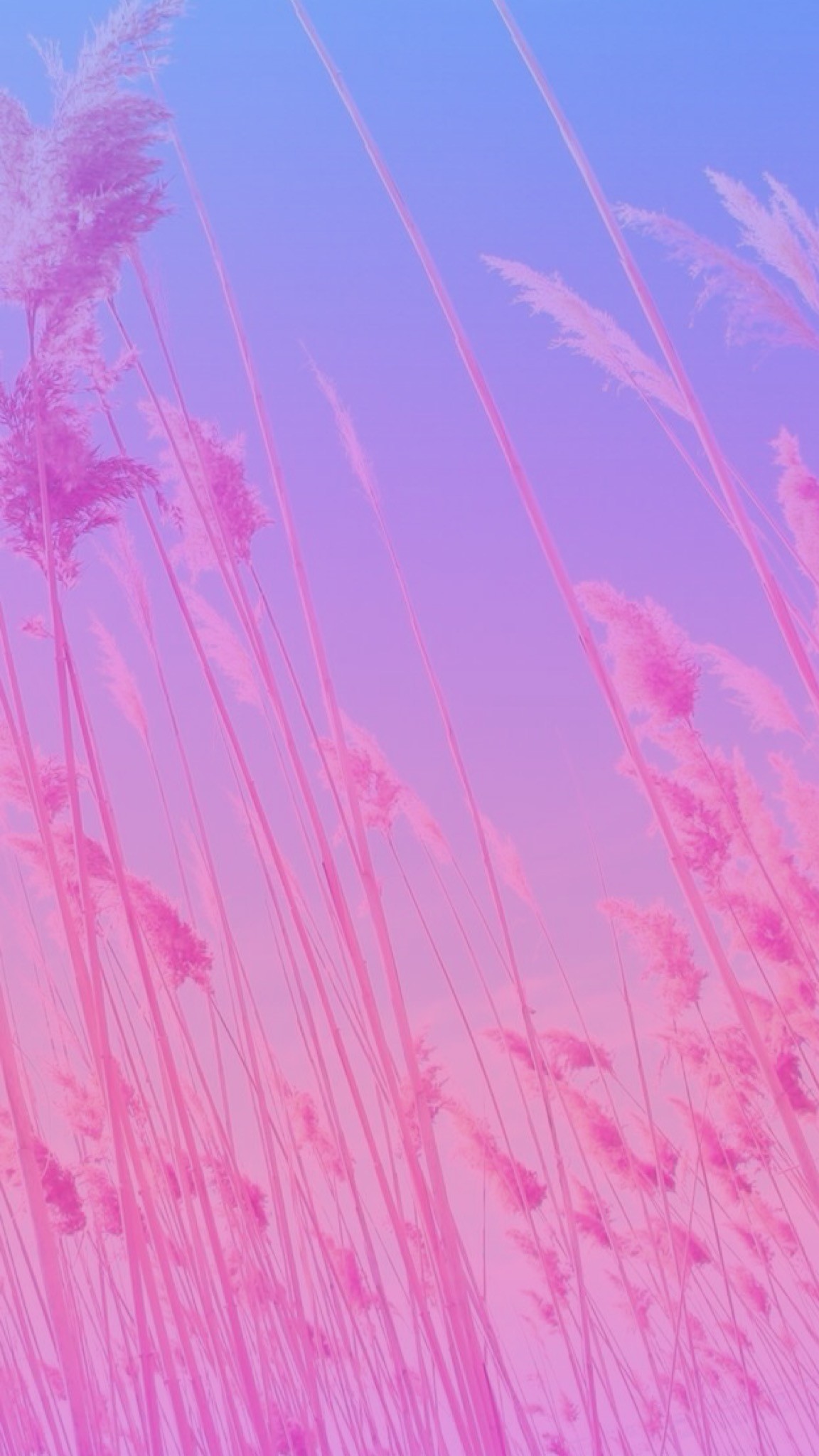 Wallpaper backgrounds Â· Original image not by me! I just made the ombrÃ©/gradient.  Pink,