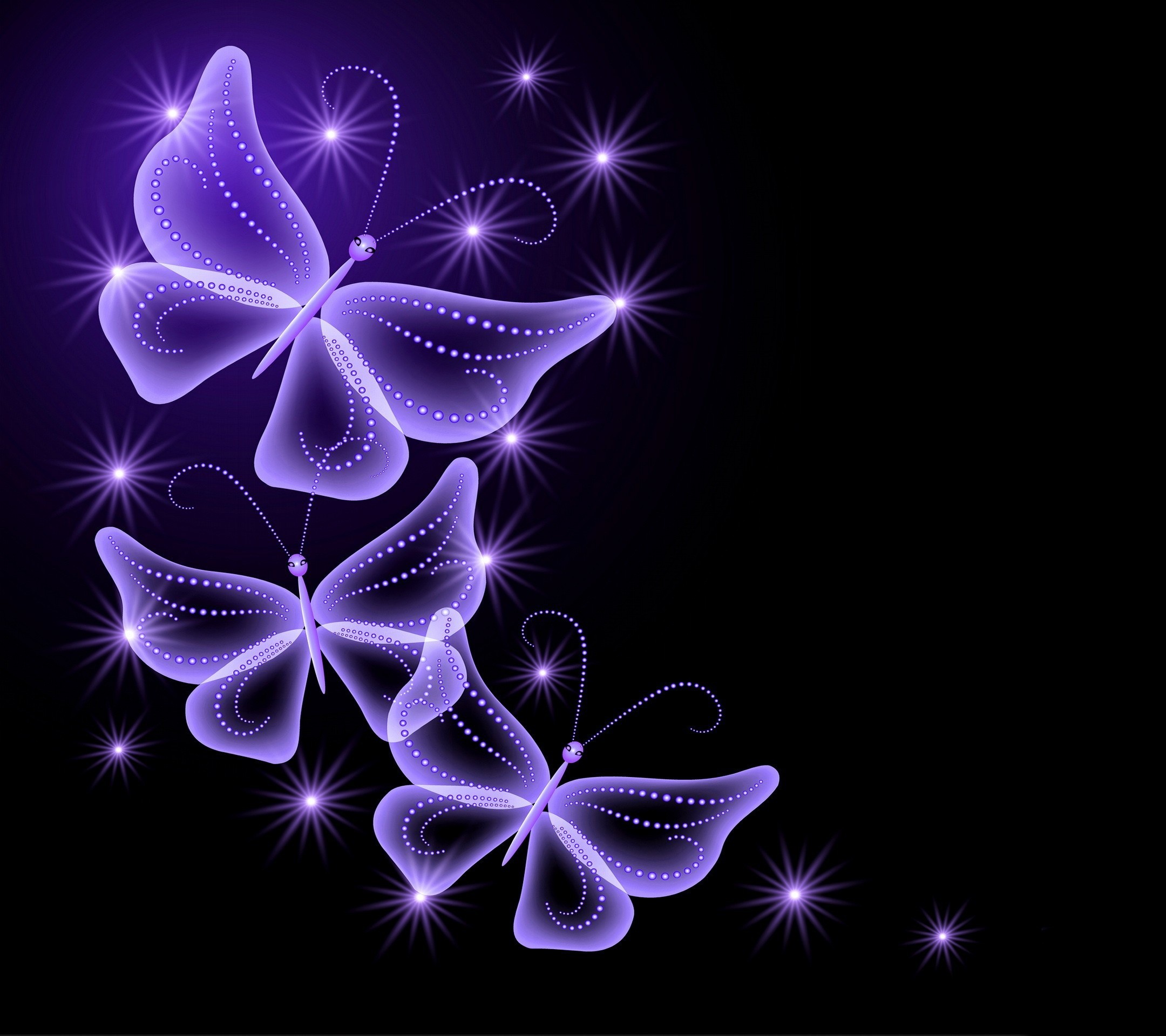 Purple Rose Background Wallpaper Back Wallpapers For Purple Rose Butterfly Background