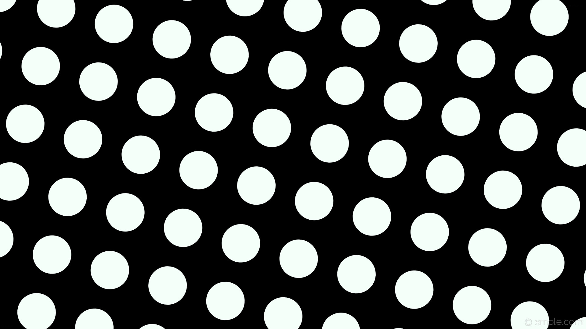 Wallpaper white black spots polka dots mint cream #f5fffa 345 126px 196px