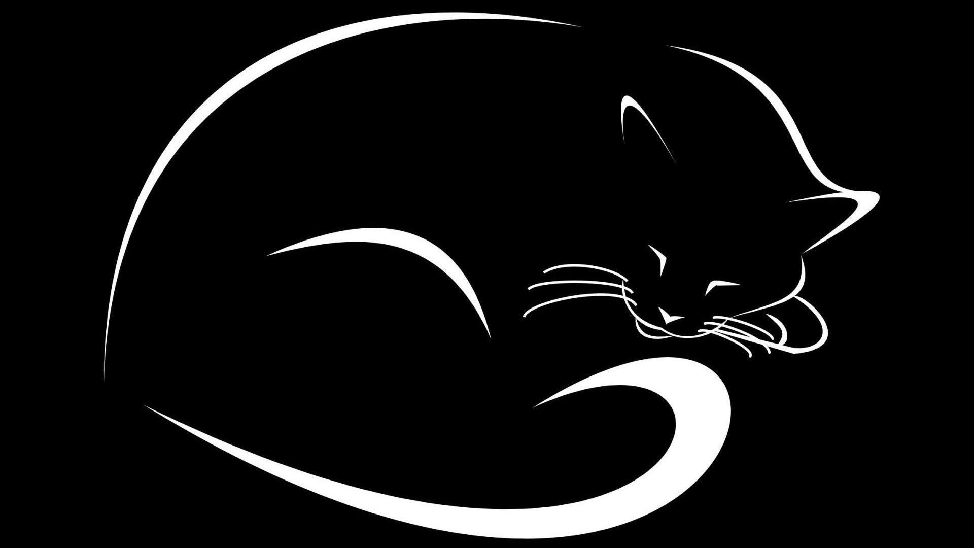 Black White Abstract Cat Wallpapers HD 12333 Full HD Wallpaper
