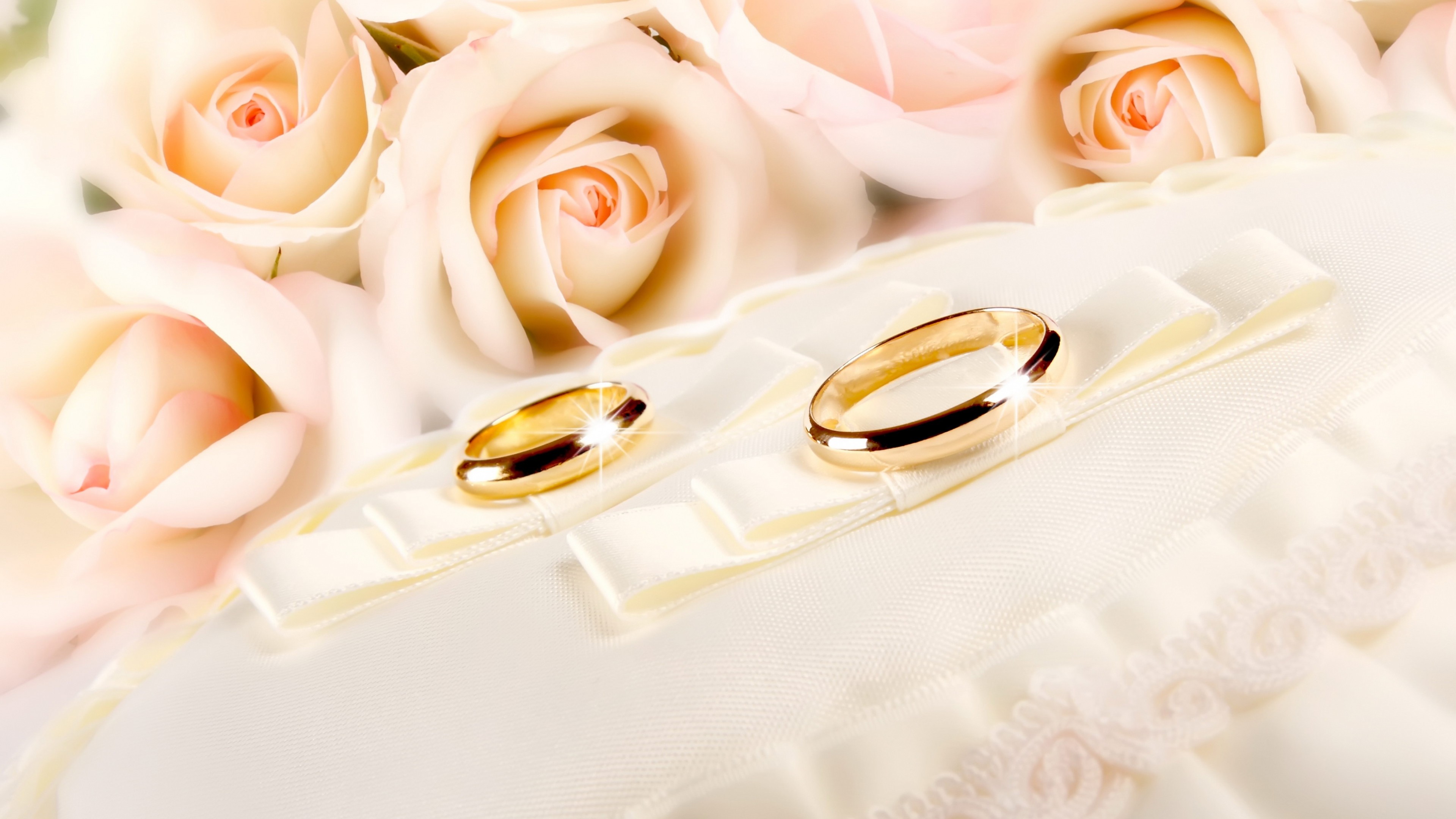 Rings wedding gold glitter fabric flower rose backgrounds
