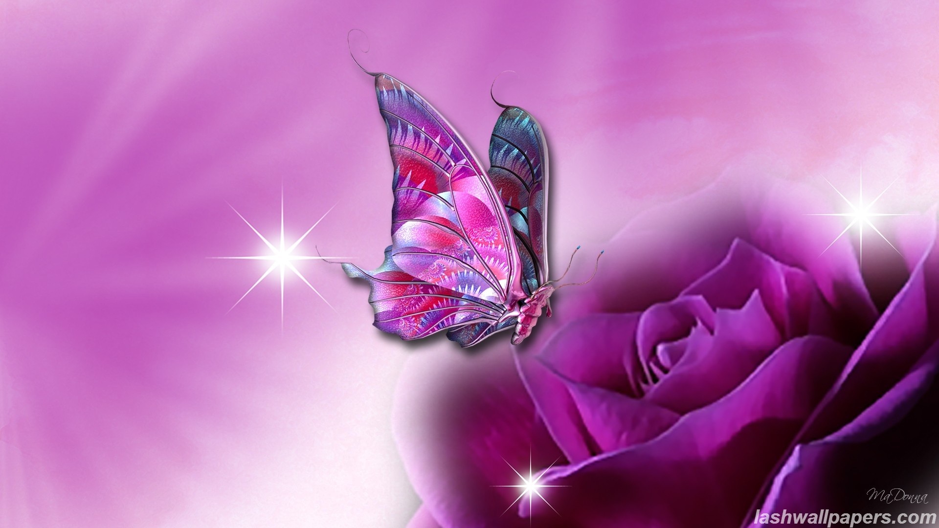Pink Butterfly Phone Backgrounds cute butterfly for mobile phones HD phone  wallpaper  Pxfuel