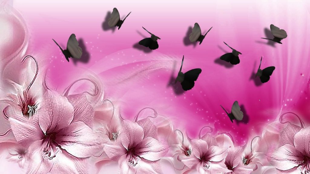 Pink Butterfly Wallpaper Desktop