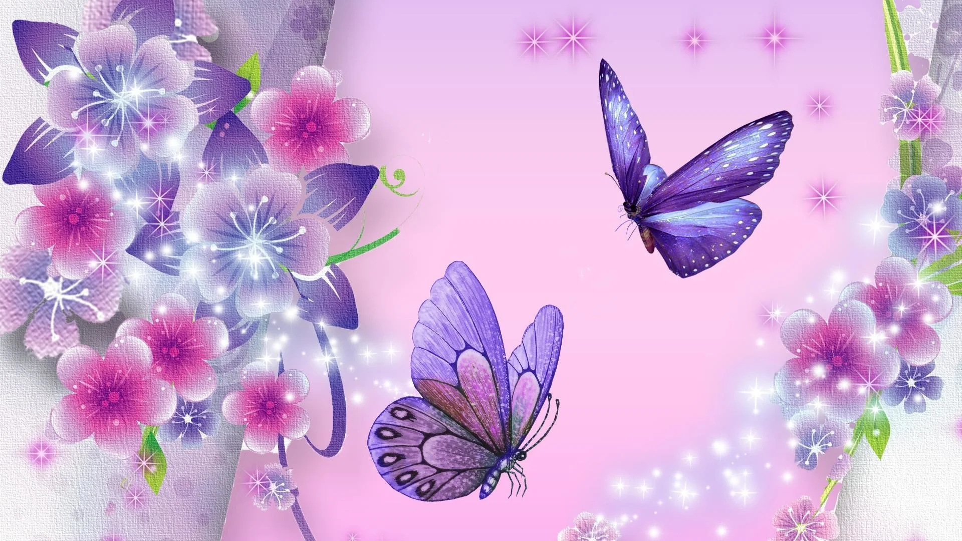 butterfly wallpaper purple star