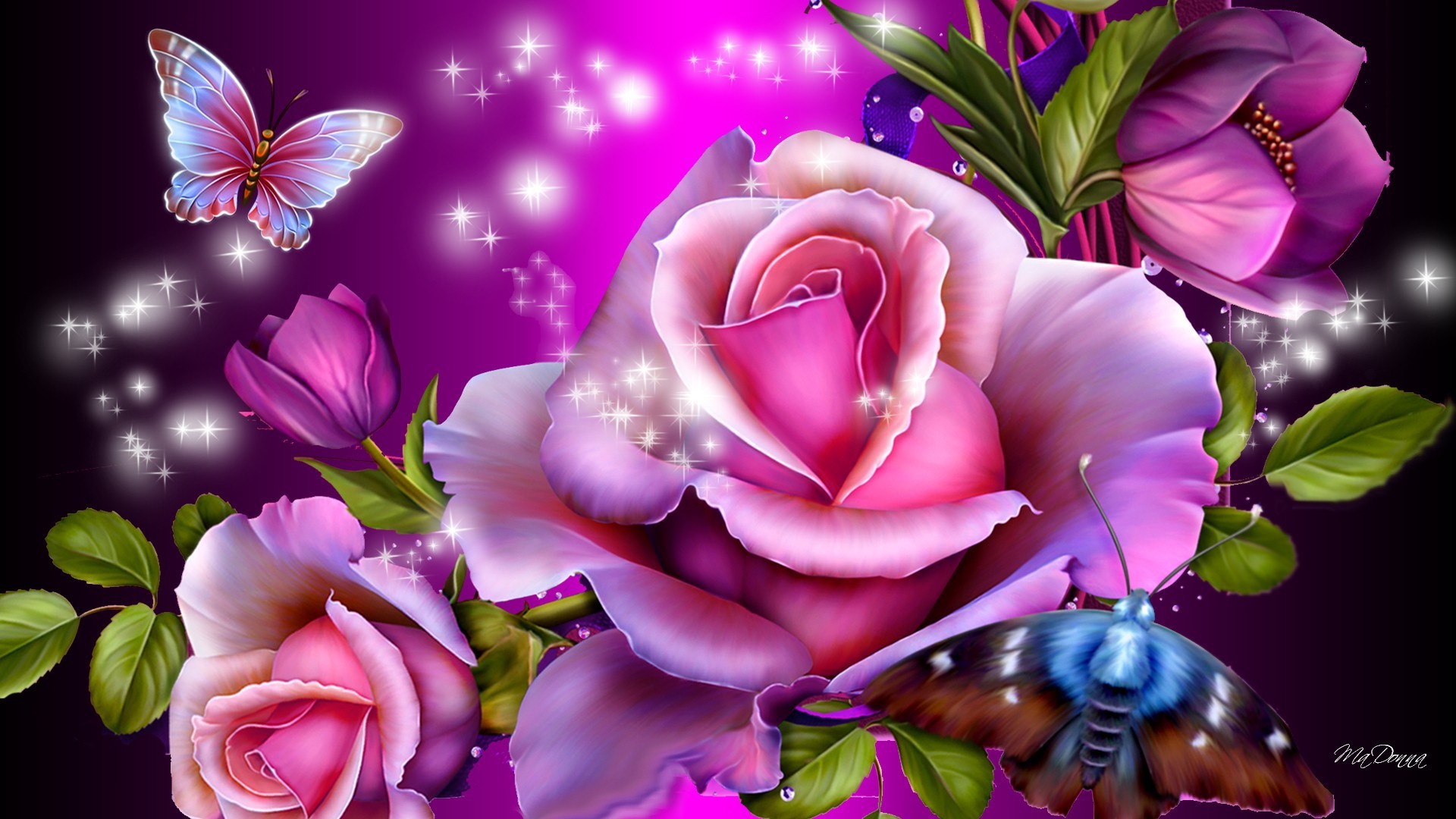 Flowers on Pinterest Pink Flowers, Purple Roses and Flower Wallpaper Roses Arent Always Thorny Pinterest Flower wallpaper, Purple roses and other