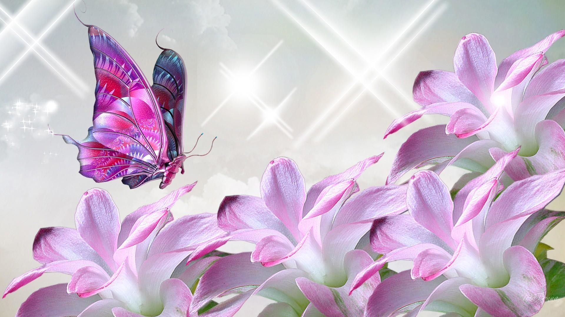 Pink Butterfly And Flower Collage Hd Wallpaper