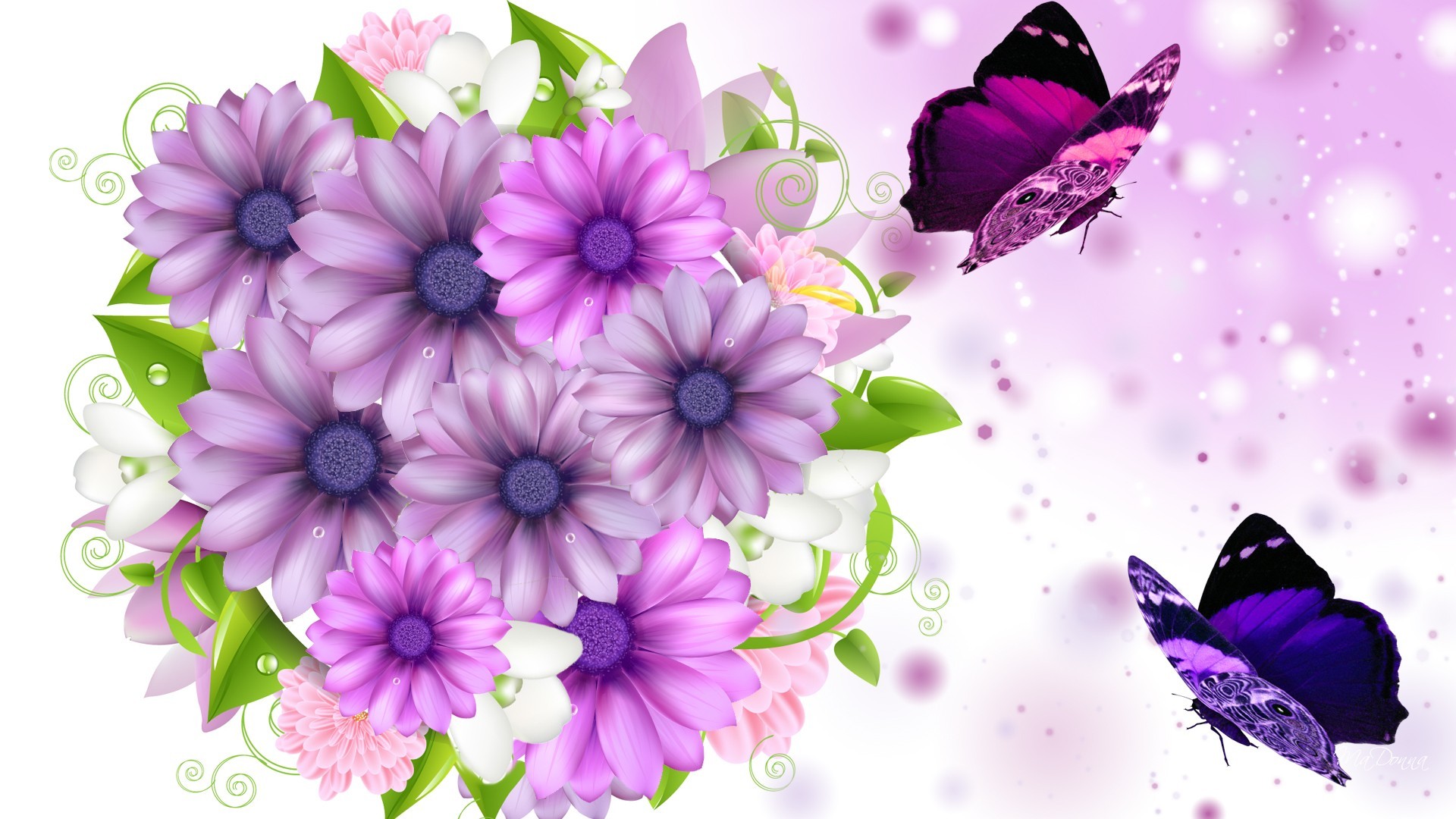 Free As Butterflies HD desktop wallpaper Widescreen High Definition Fullscreen