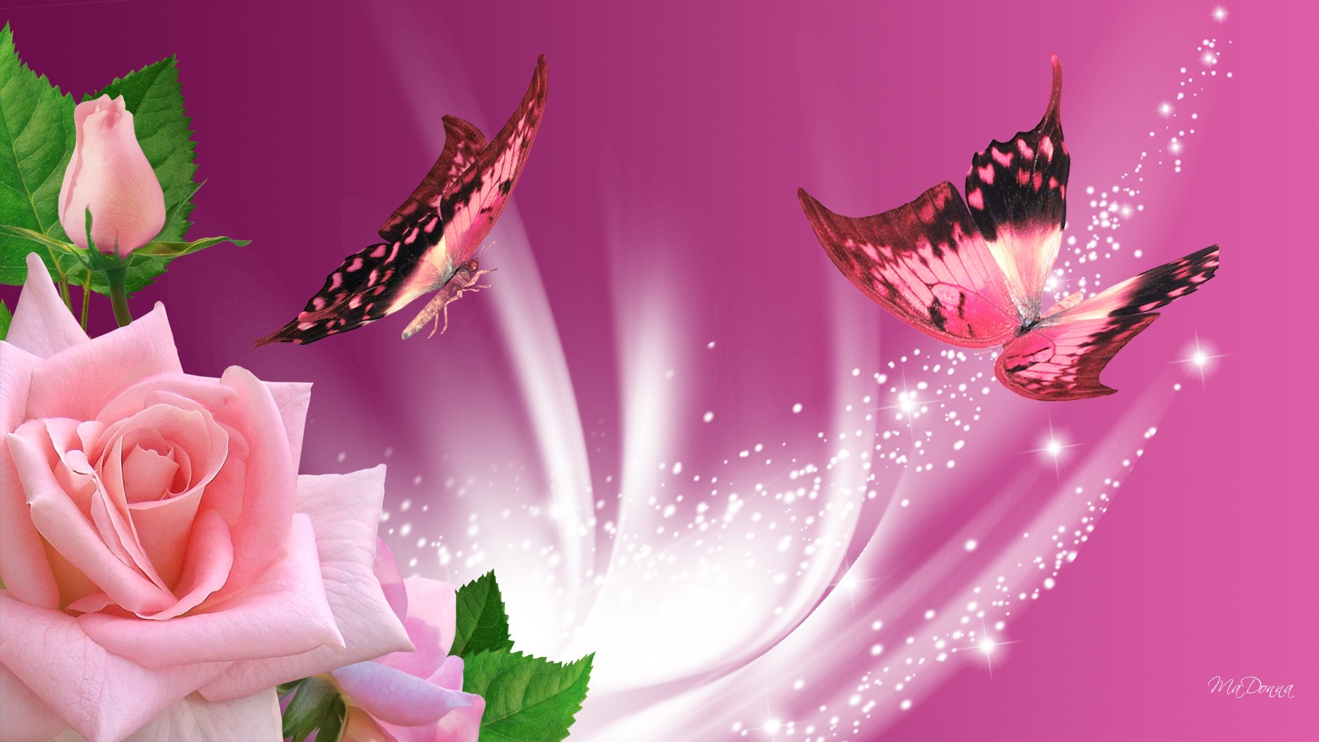Beautiful Pink Butterfly In Blur Blossom Flowers Background HD Butterfly  Wallpapers  HD Wallpapers  ID 88871