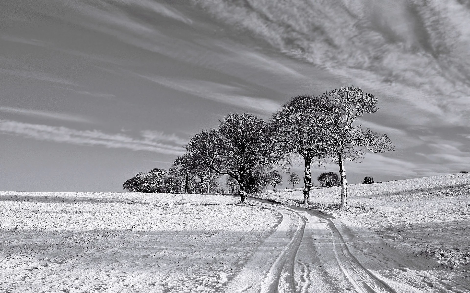 Black and White Winter wallpapers and stock photos