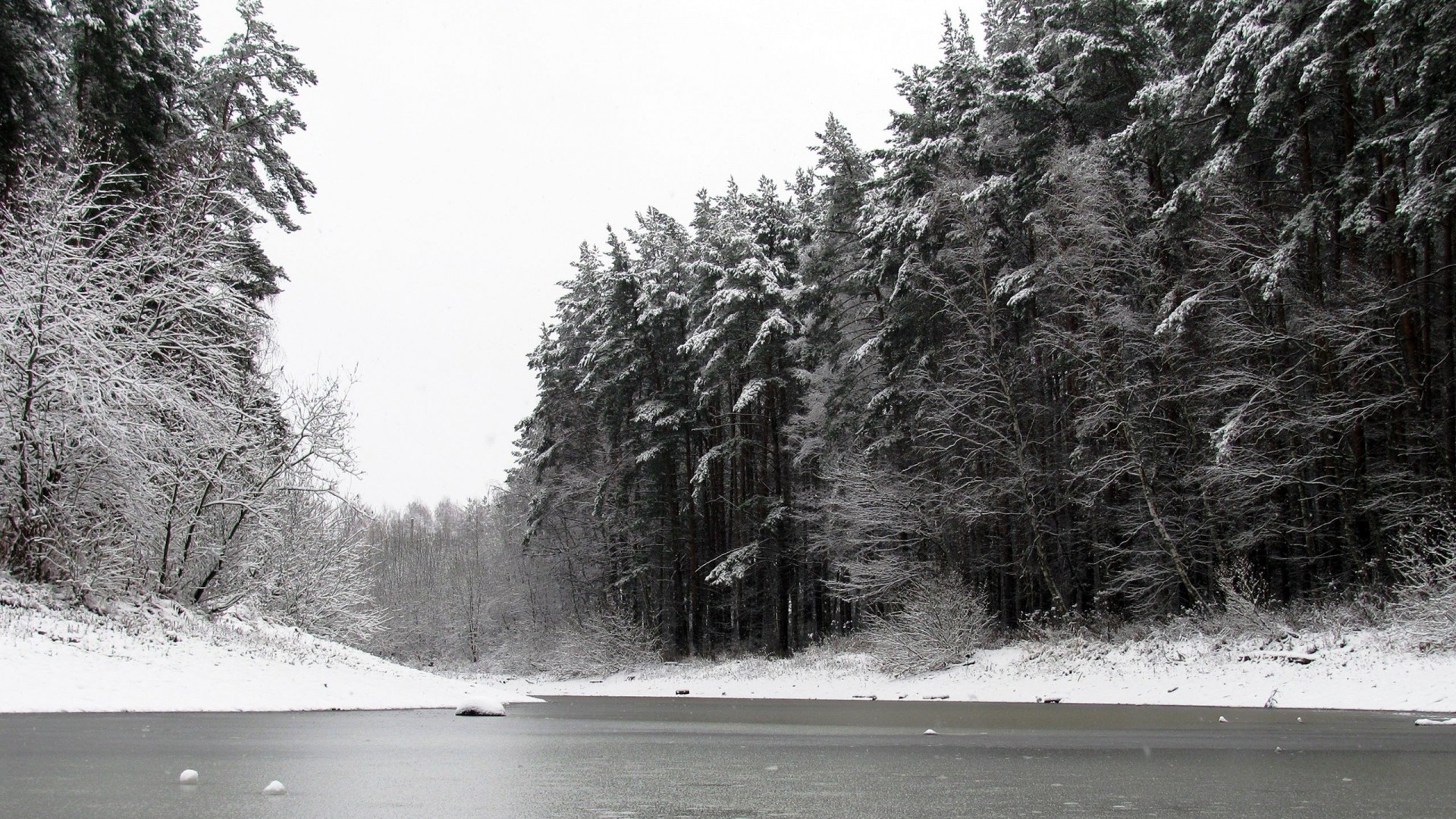 Wallpaper river, winter, trees, ice, snow, black white