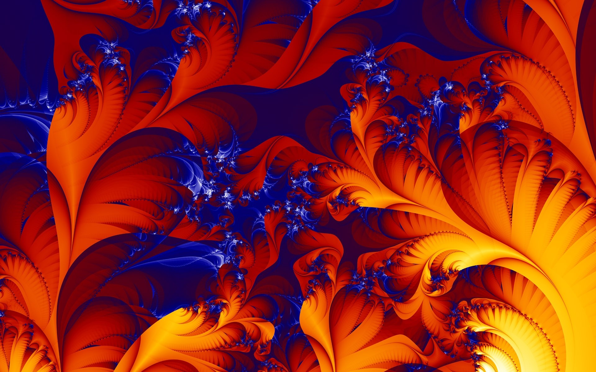 Free Blossoming Fire Wallpapers, Free Blossoming Fire HD Wallpapers