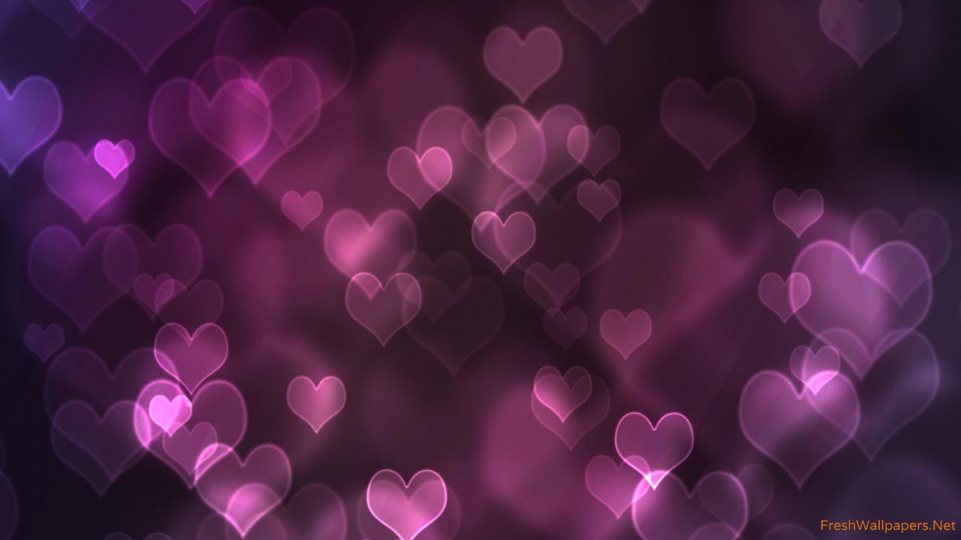 Purple hearts love Wallpaper 1920×1080