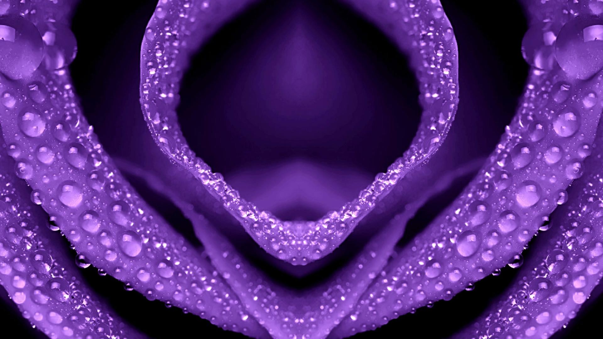 Purple Â· HD Wallpapers …