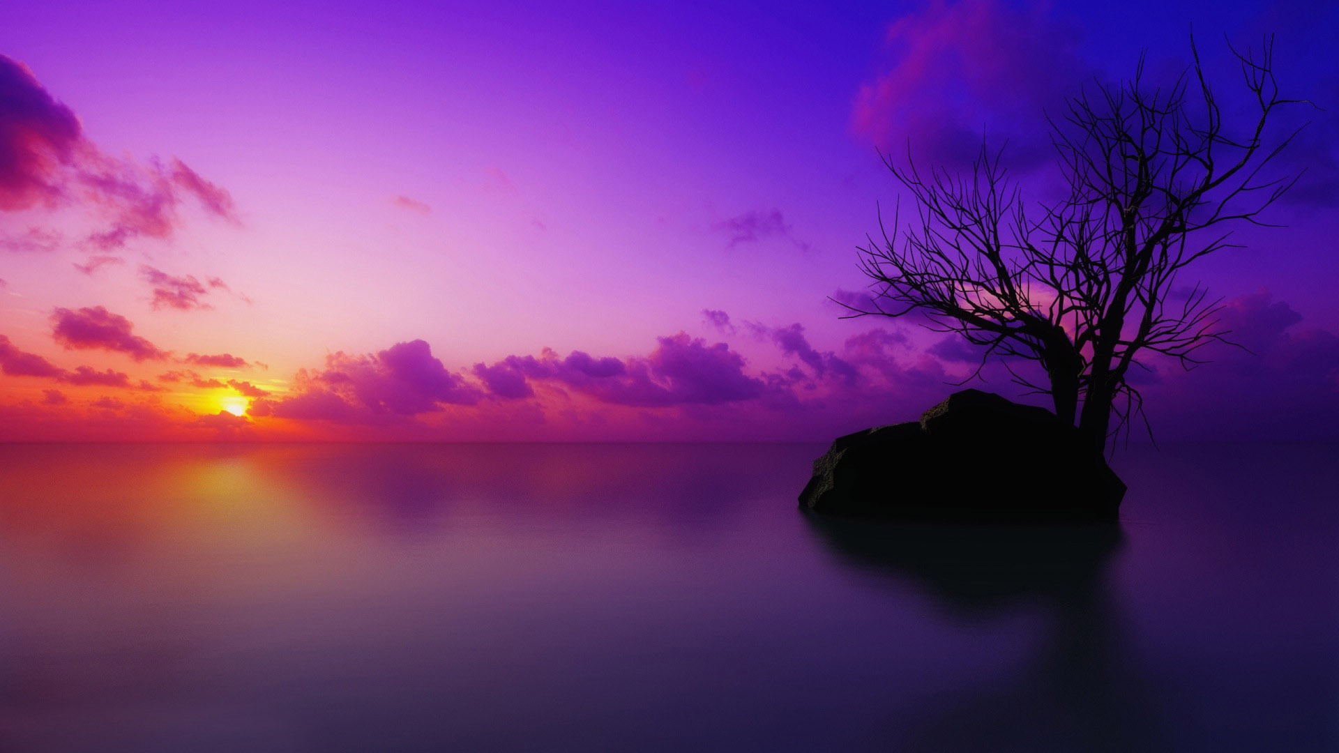 Purple sunset wallpaper – 805912