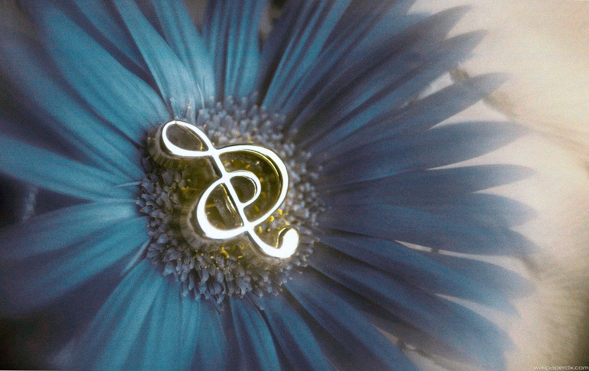 Music notes in flower full hd wallpaper