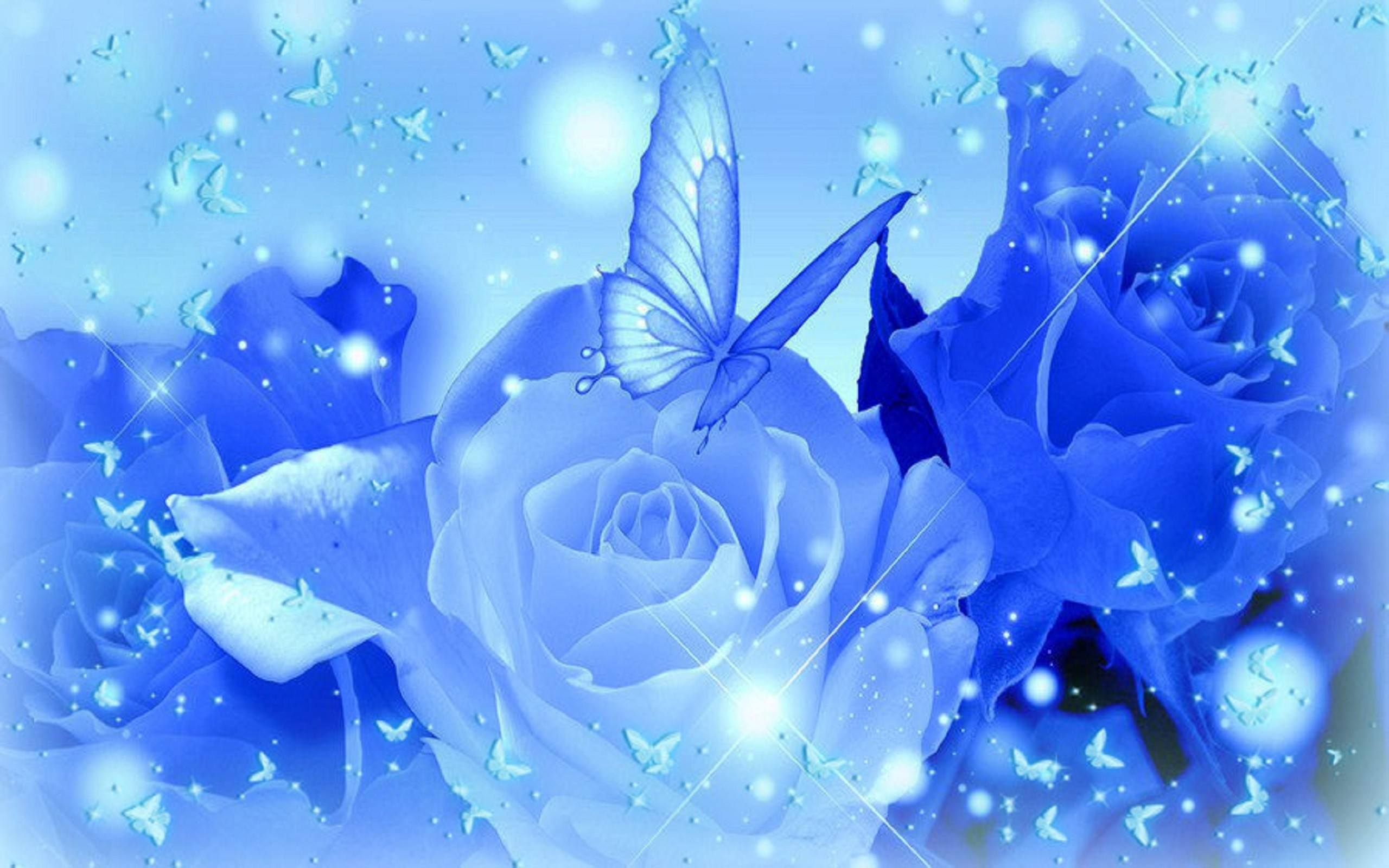 Light blue roses wallpaper Widescreen Wallpaper