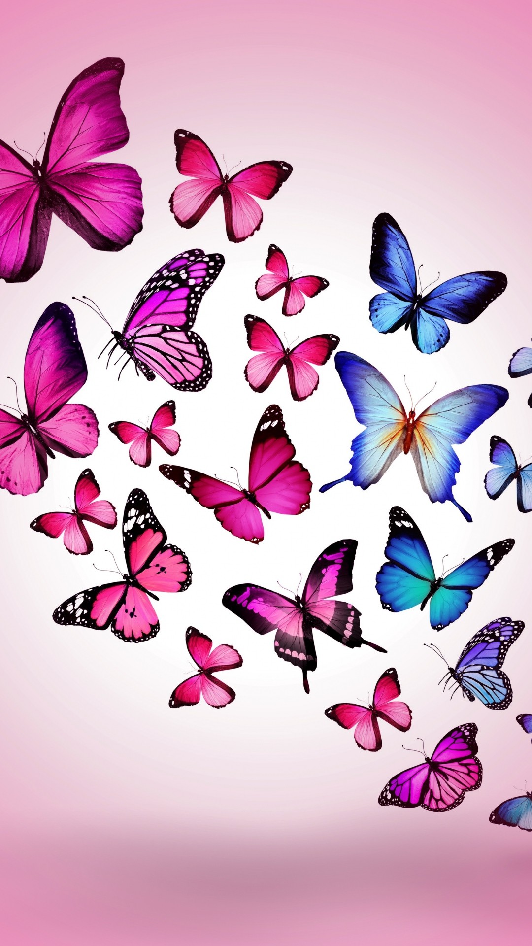 Butterfly Drawing Flying Colorful Background Pink iPhone 6 wallpaper