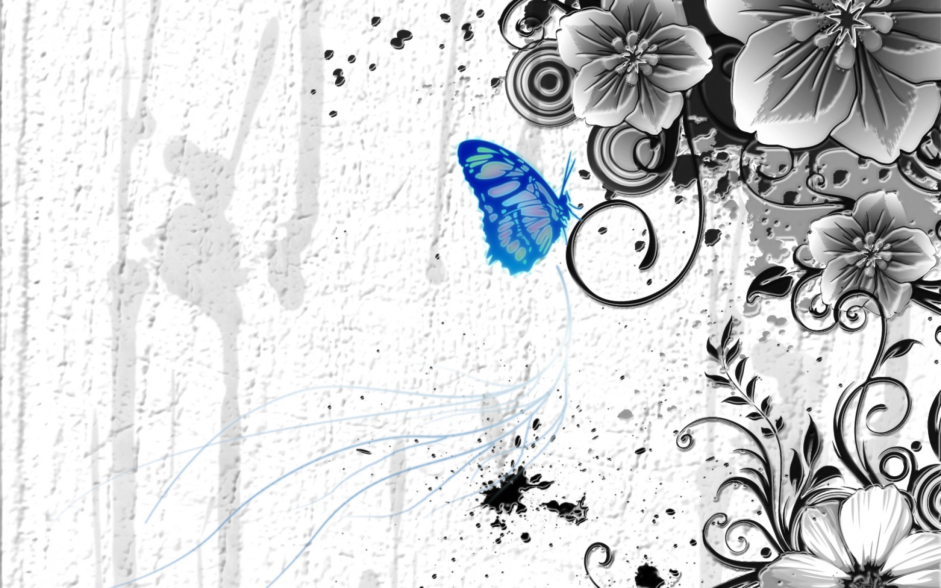 96228 Light Blue Butterfly Images Stock Photos  Vectors  Shutterstock