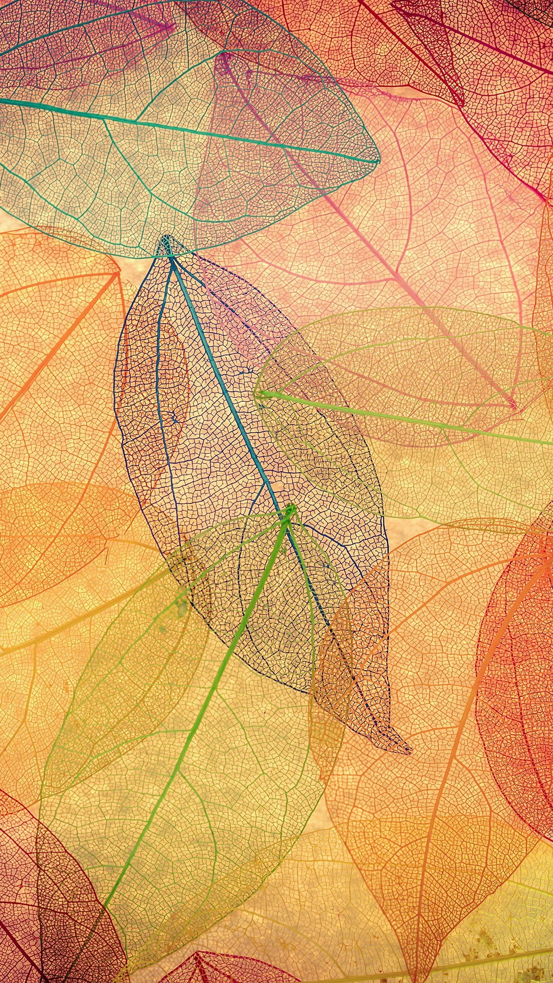 Rainbow Color Leaf Art Fall Nature Pattern iPhone 6 wallpaper