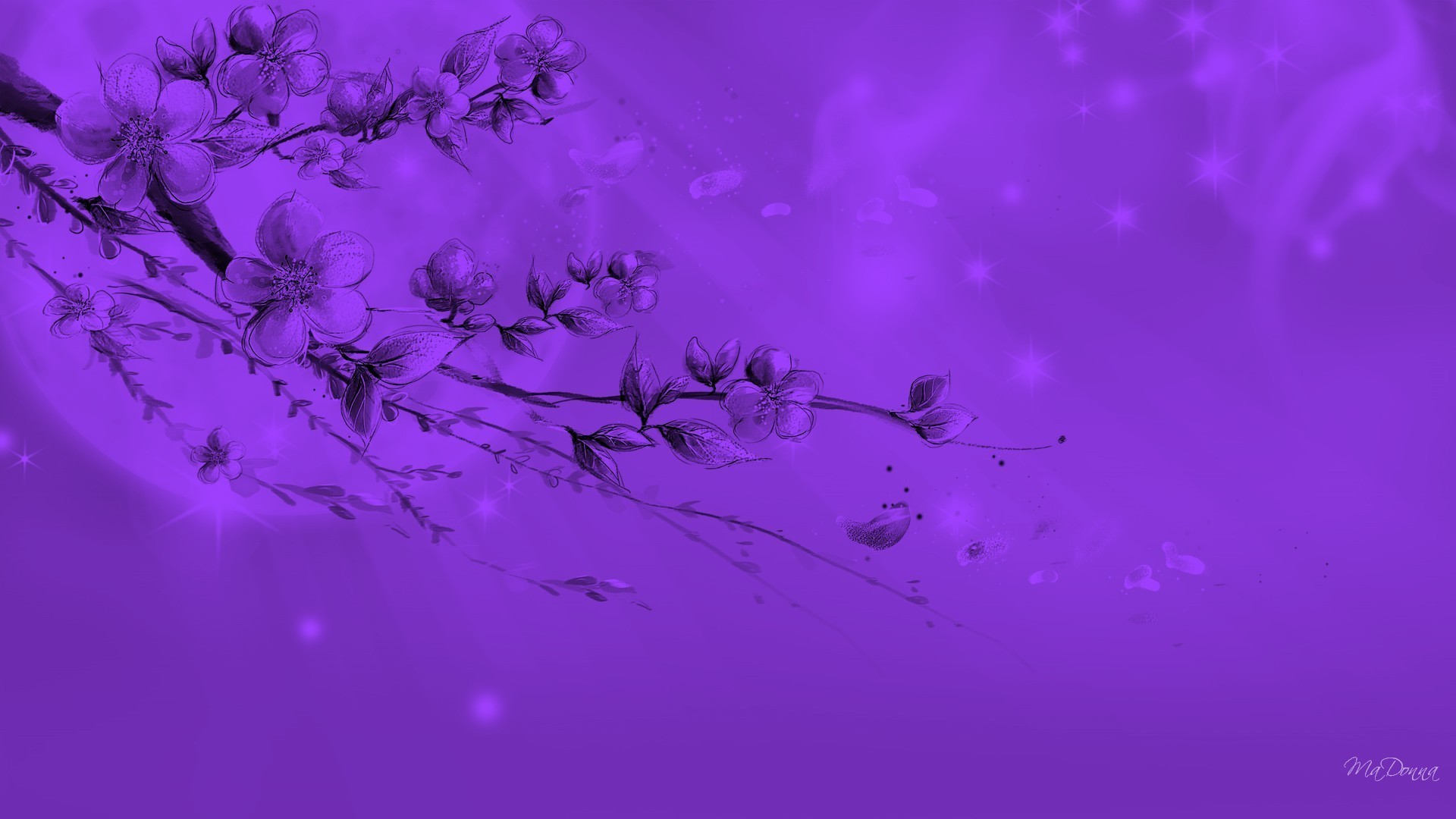 #9966CC Color – Abstract Dream Tree Persona Blossoms Firefox Sky Purple  Petals Sakura Cherry Aster