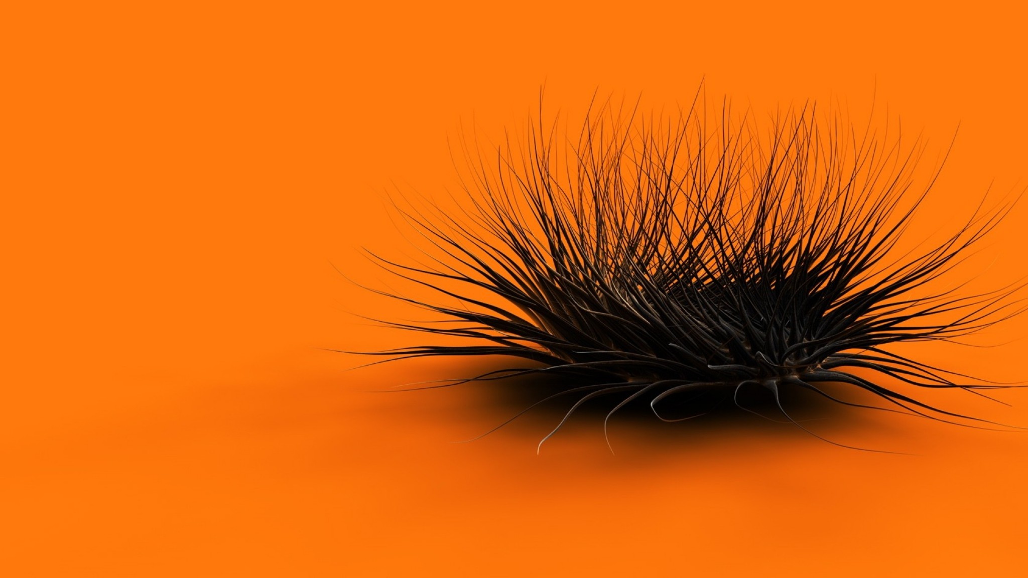 Preview wallpaper orange, black, feathers, form 2048×1152